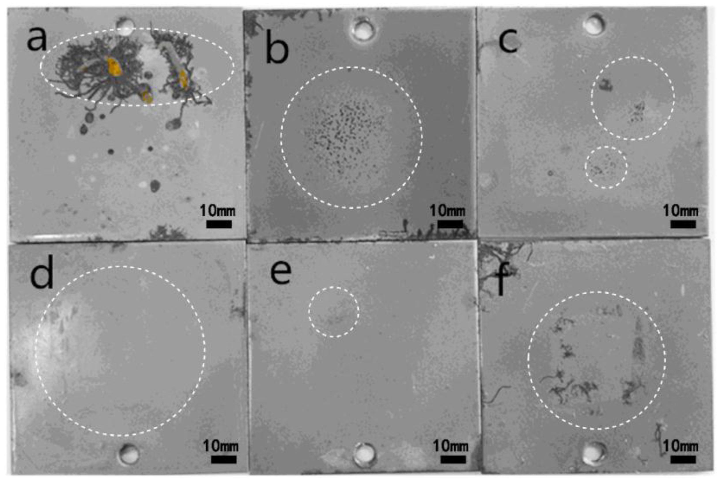 Coatings 08 00179 g010
