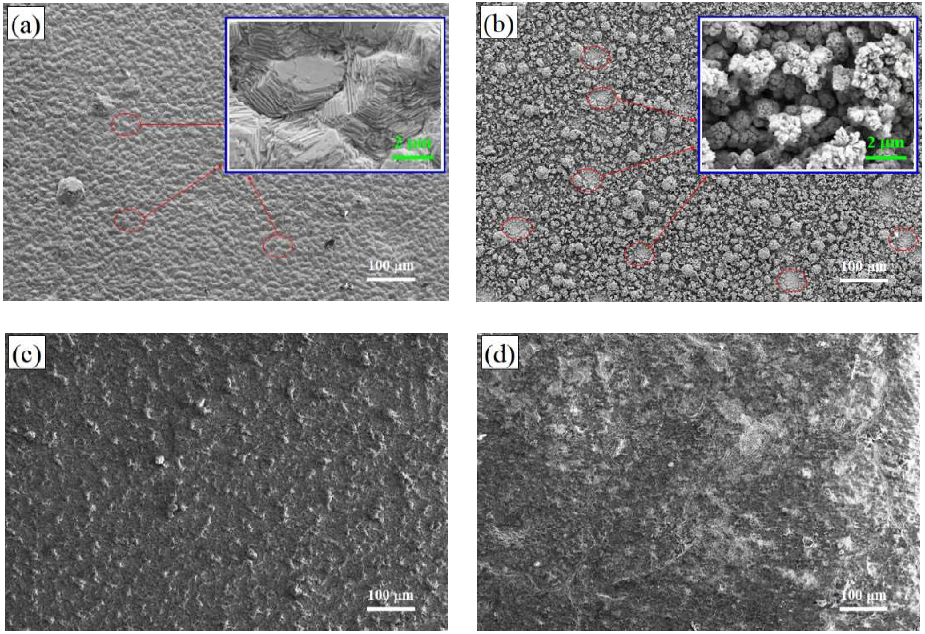 Coatings 08 00180 g007