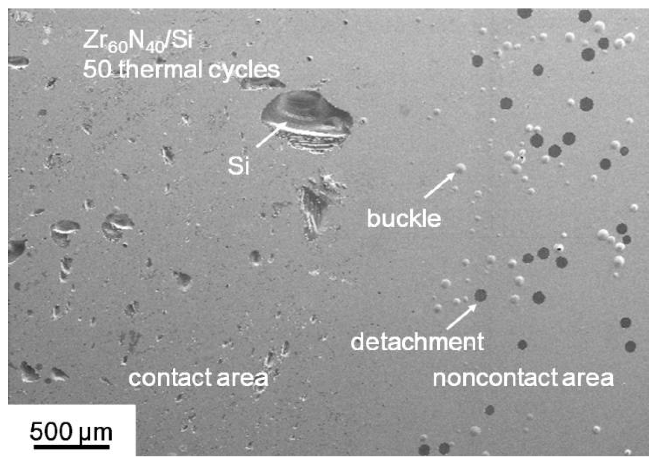 Coatings 08 00181 g010 550