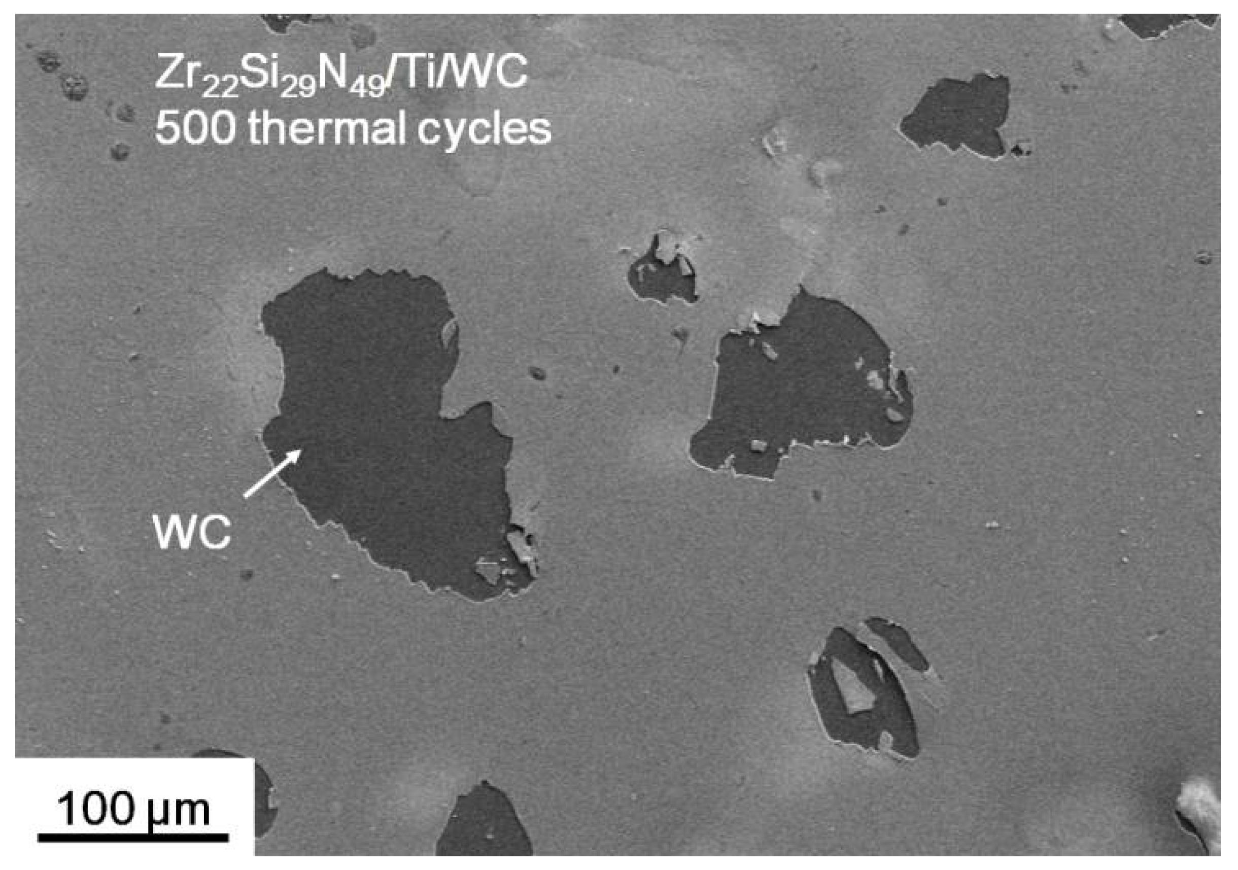 Coatings 08 00181 g011 550