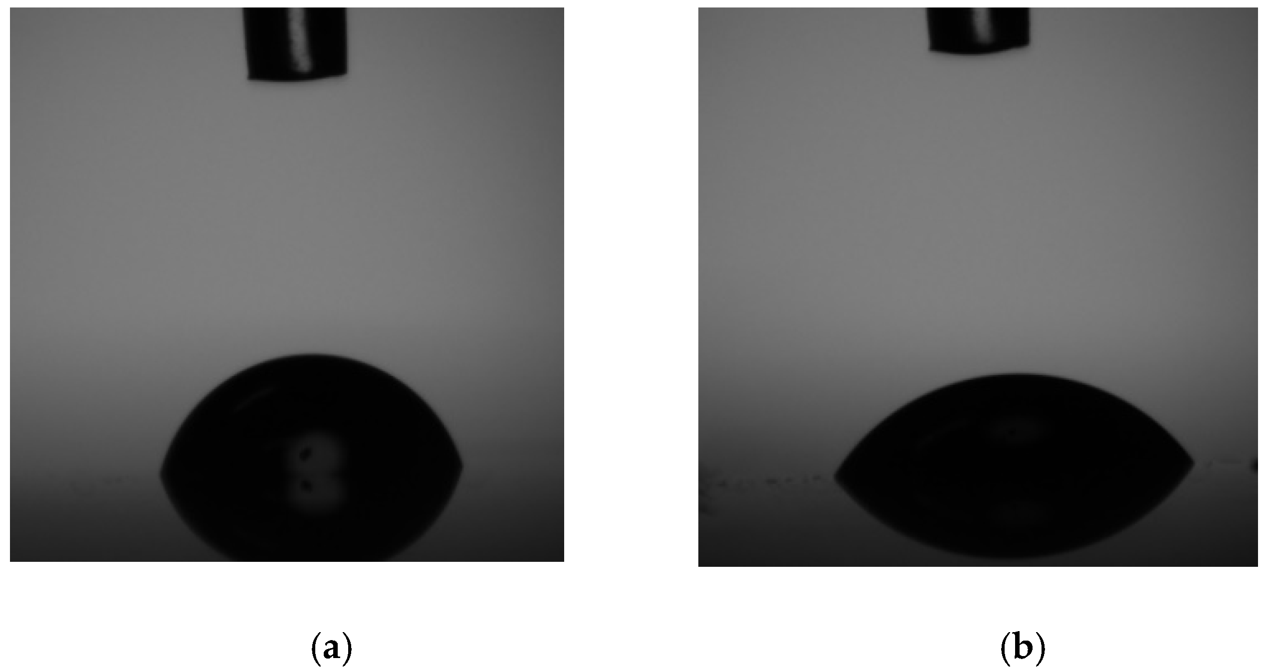 Coatings 08 00186 g005 550
