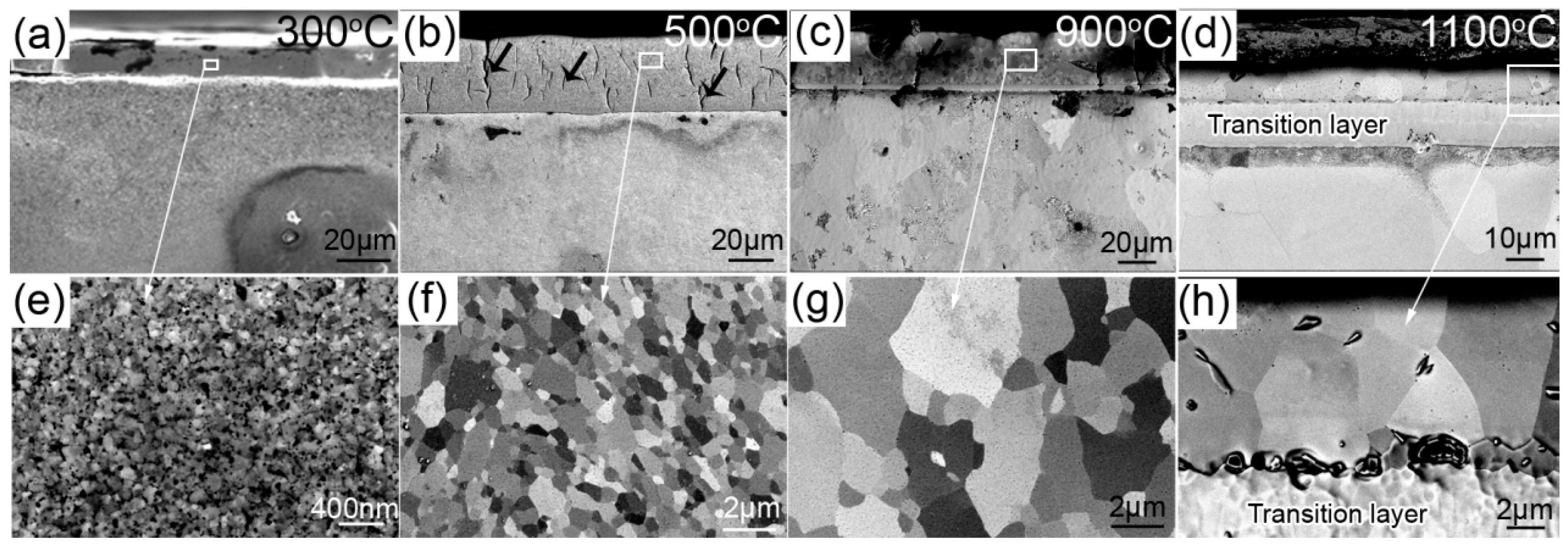 Coatings 08 00193 g002
