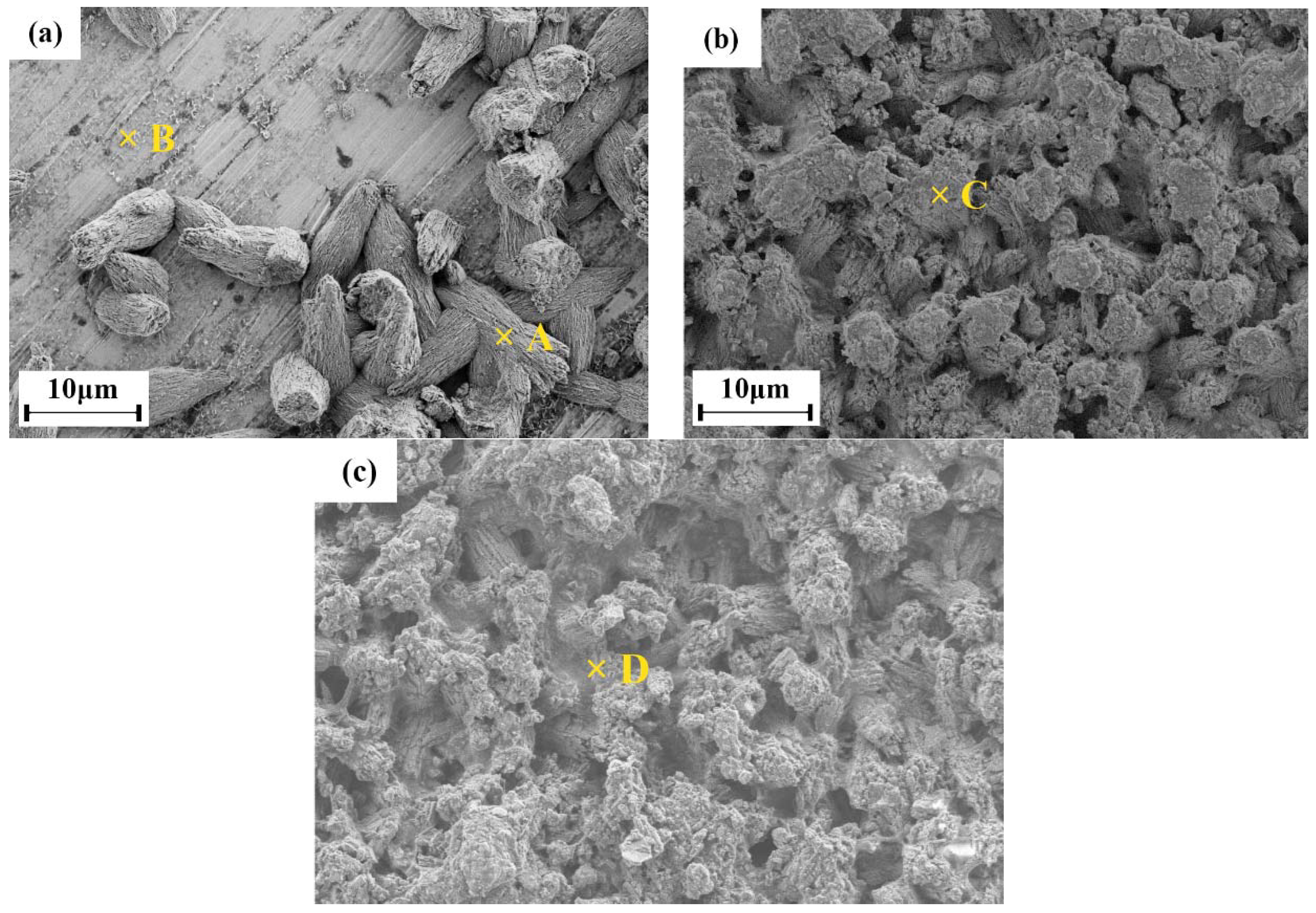 Coatings 08 00194 g007