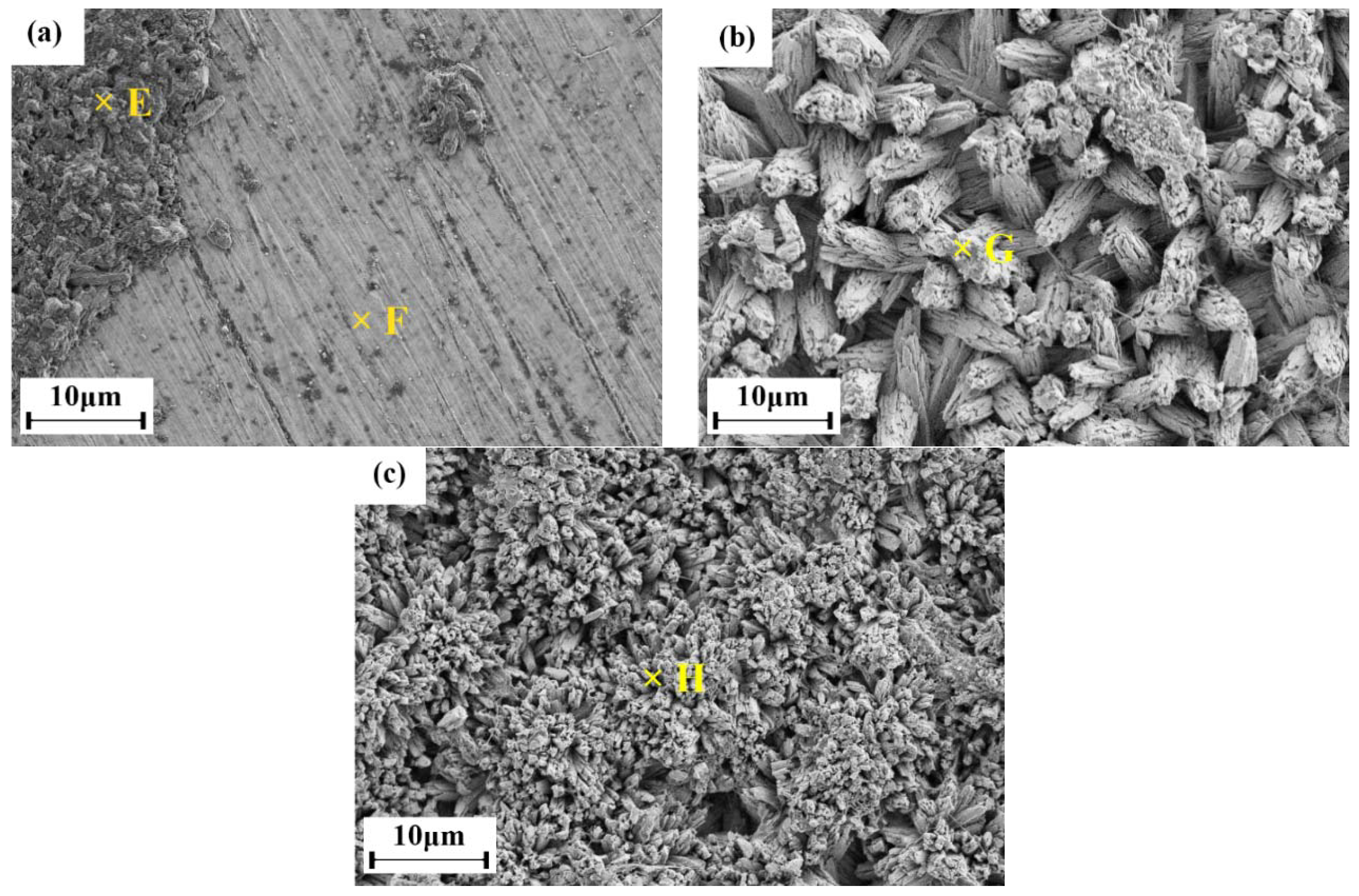 Coatings 08 00194 g008