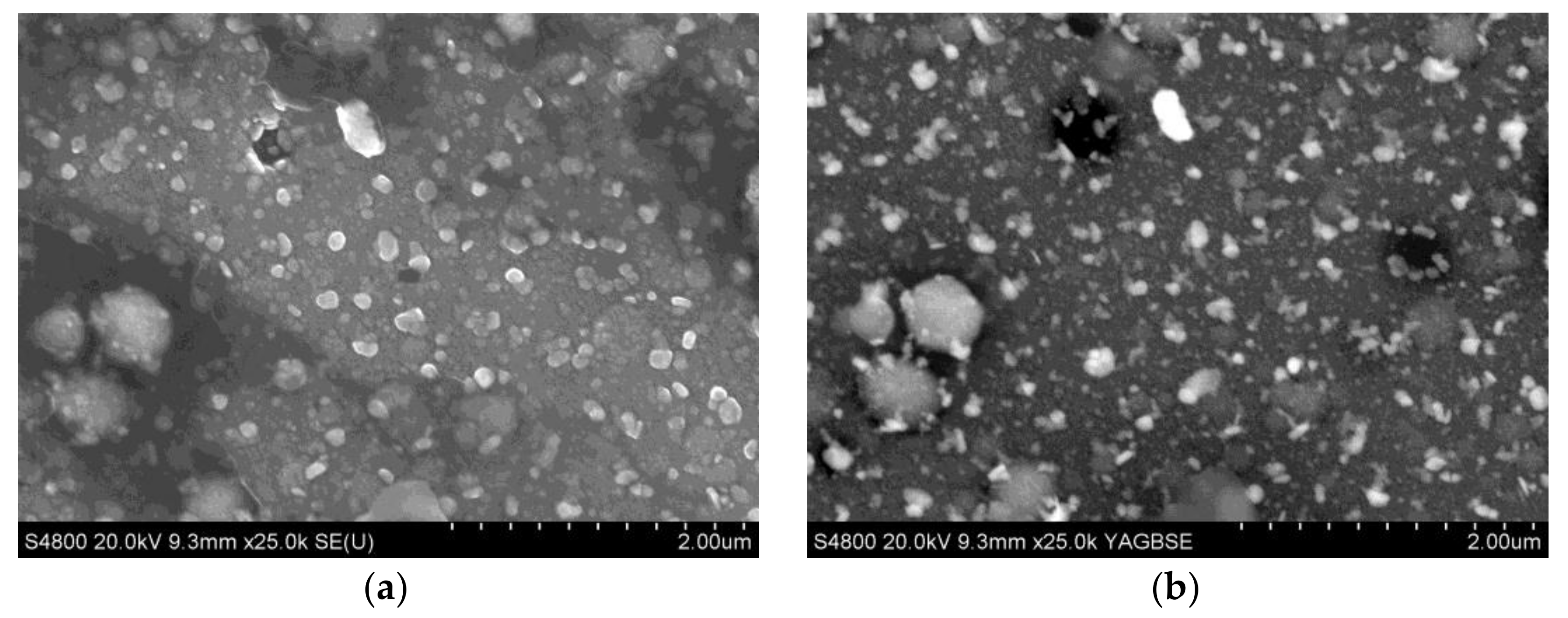 Coatings 08 00197 g005