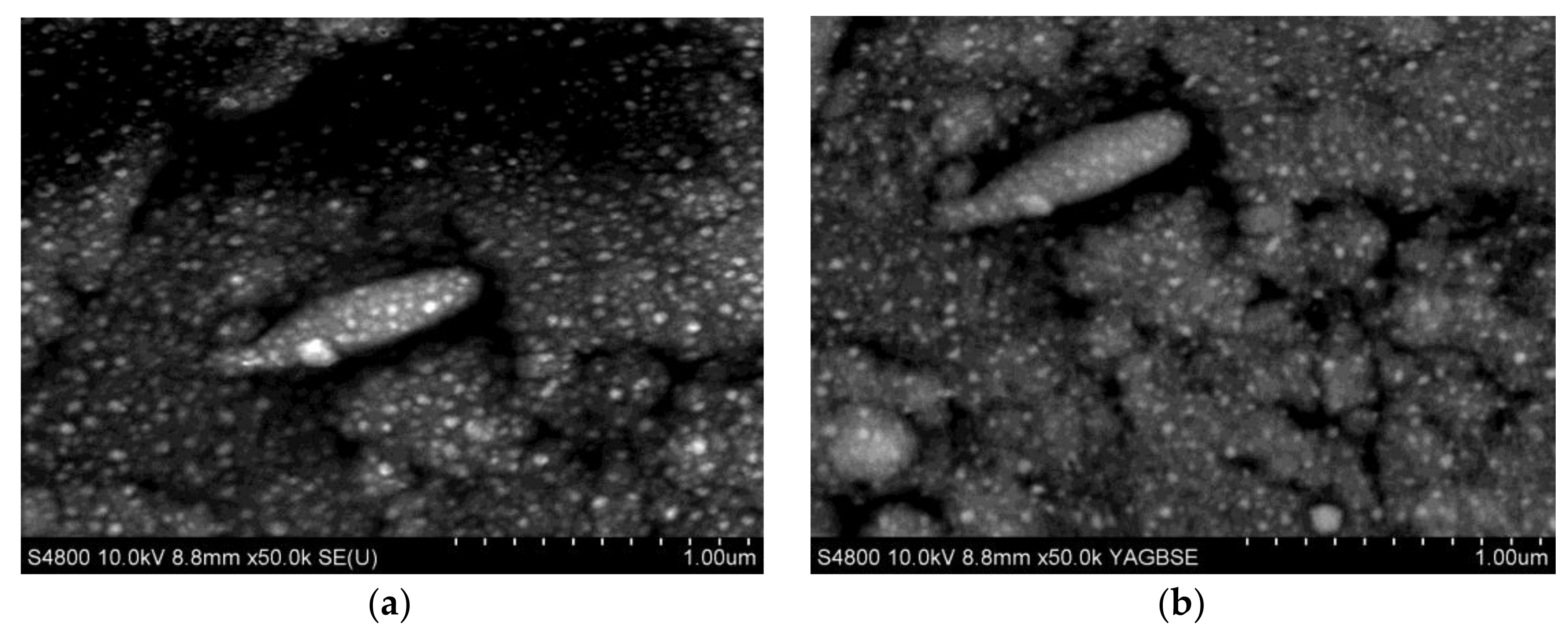 Coatings 08 00197 g006