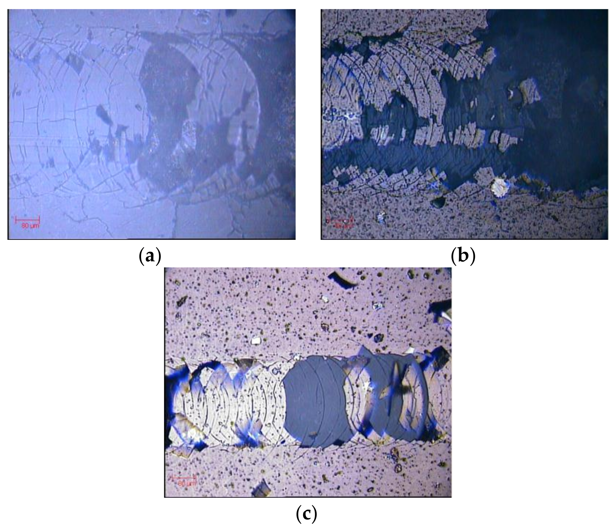 Coatings 08 00197 g008