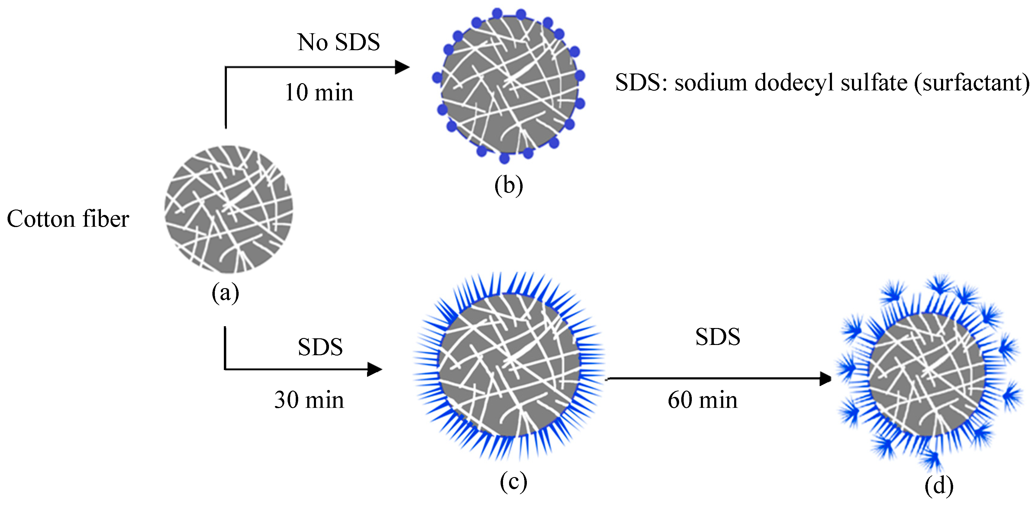Coatings 08 00198 g001