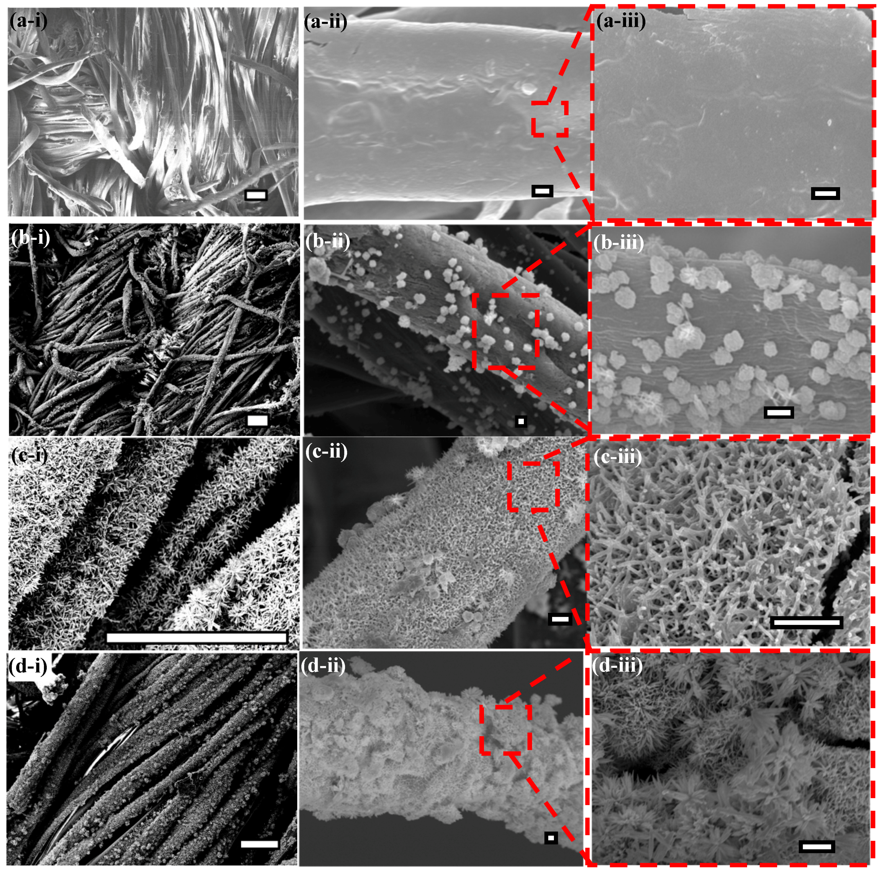 Coatings 08 00198 g003