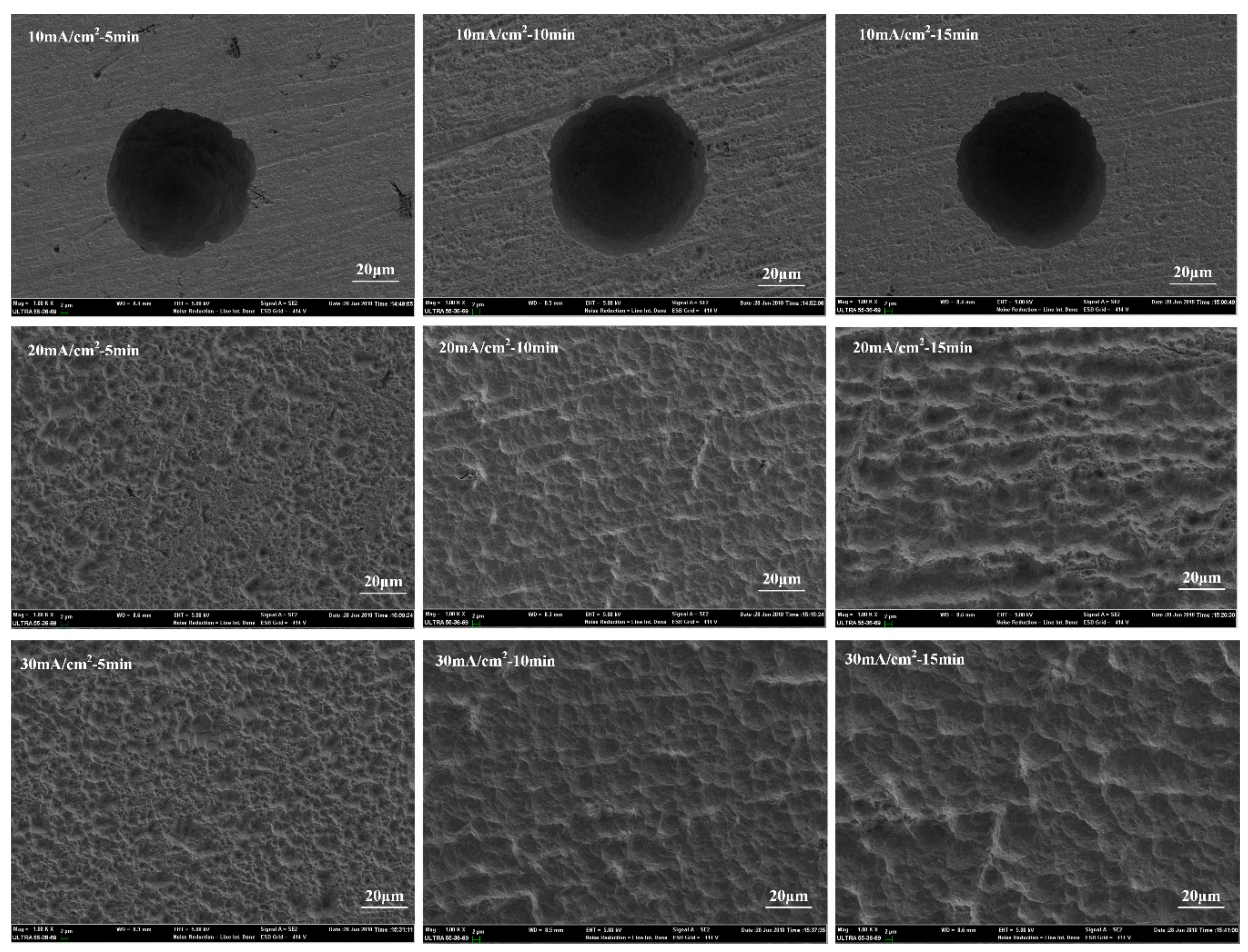Coatings 08 00201 g003 550