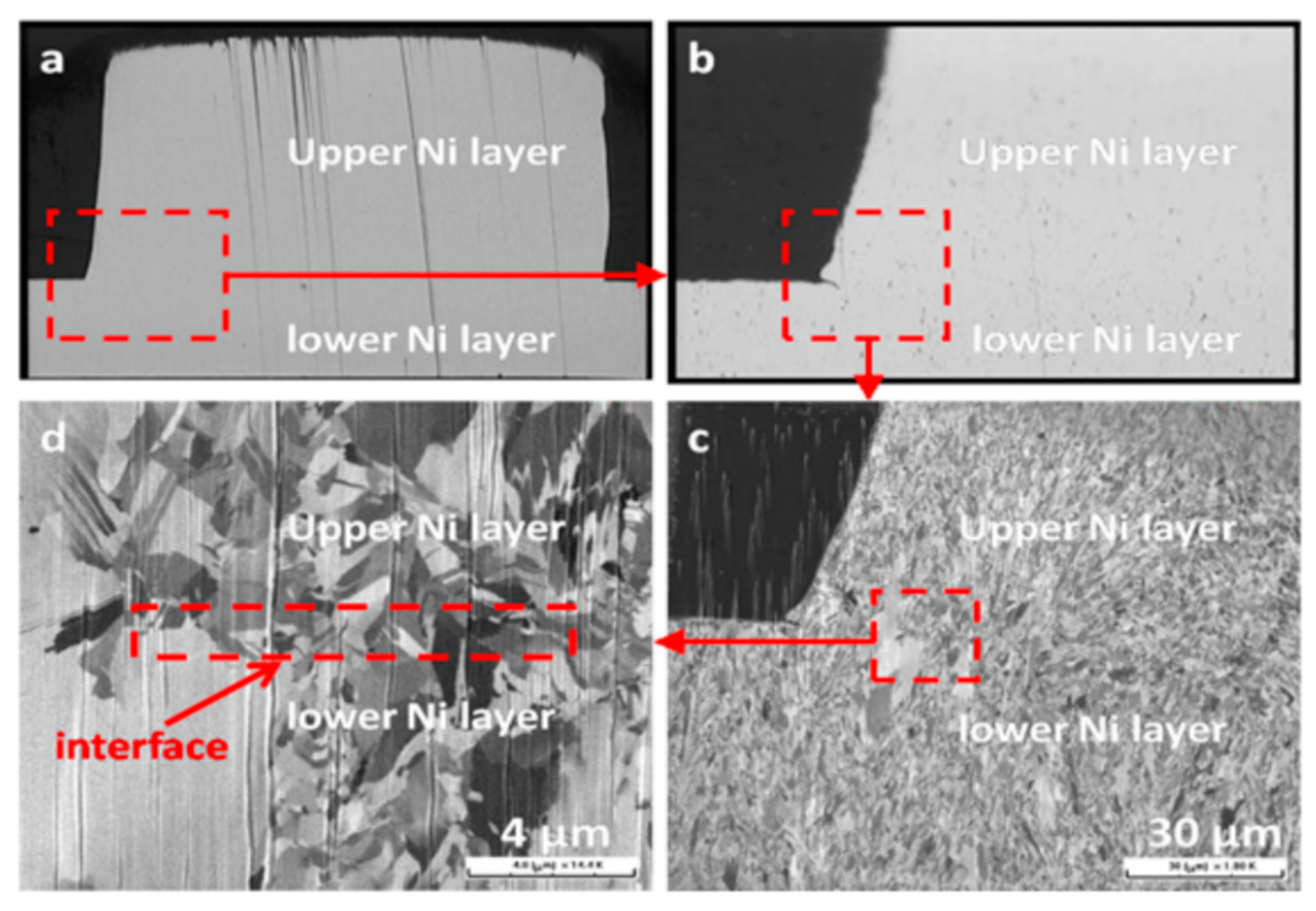 Coatings 08 00201 g006 550