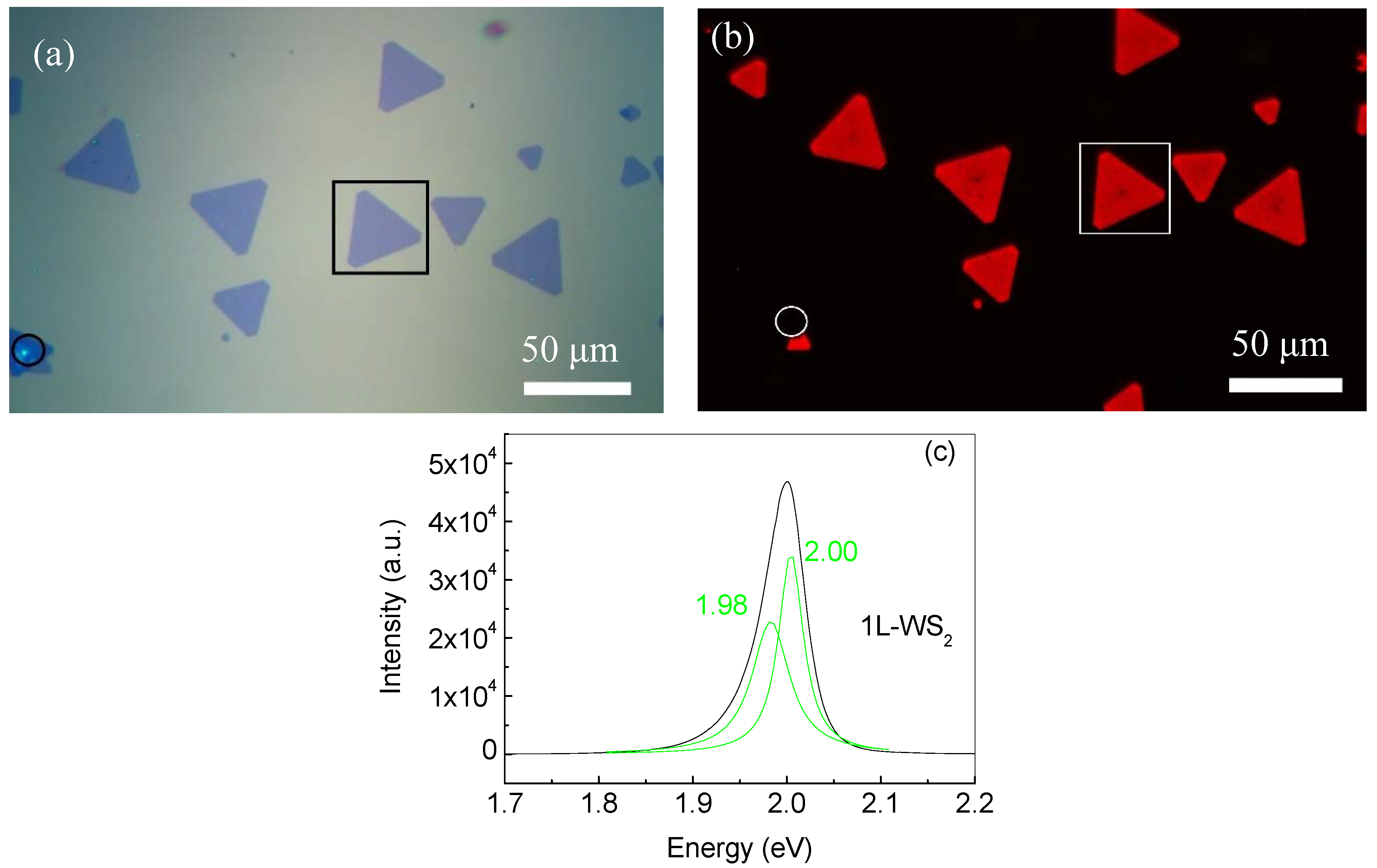 Coatings 08 00205 g001