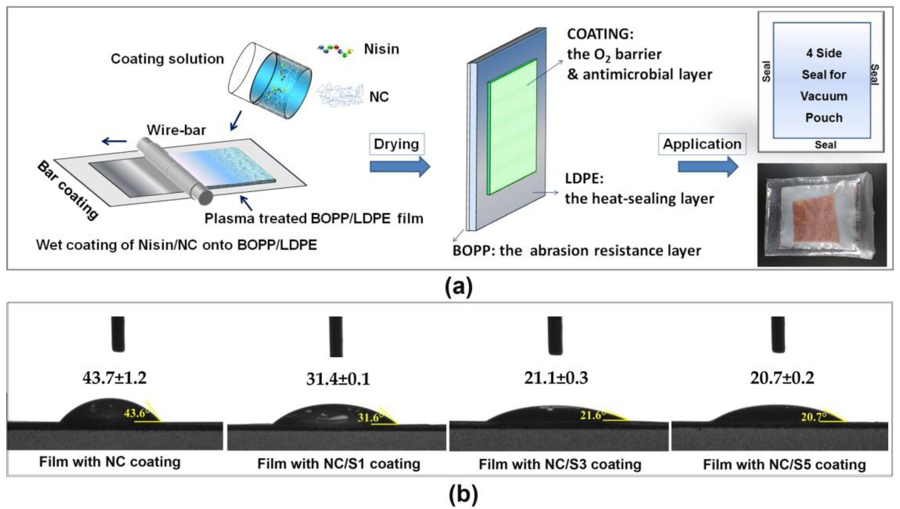 Coatings 08 00207 g002 550