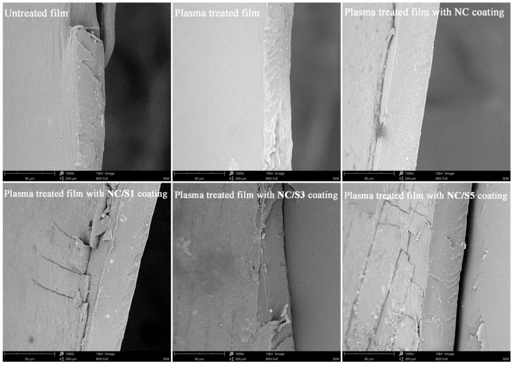 Coatings 08 00207 g005 550
