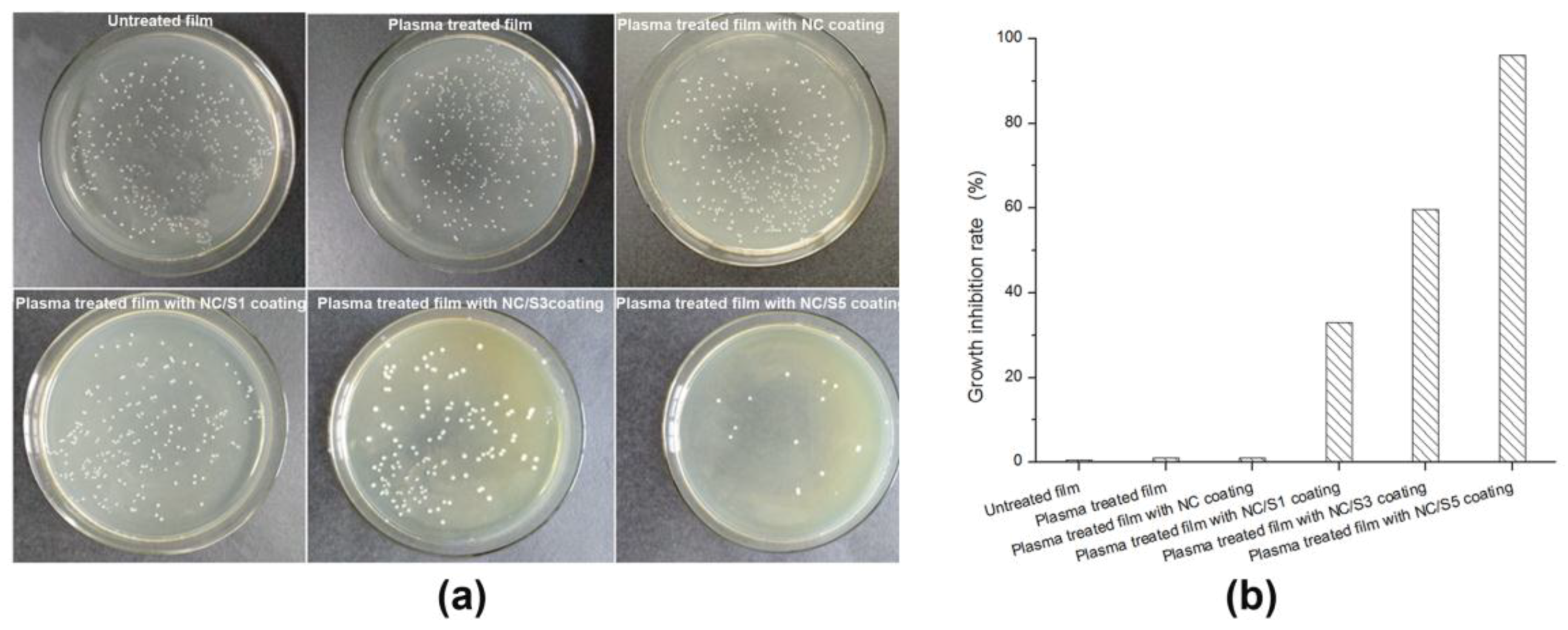 Coatings 08 00207 g006 550