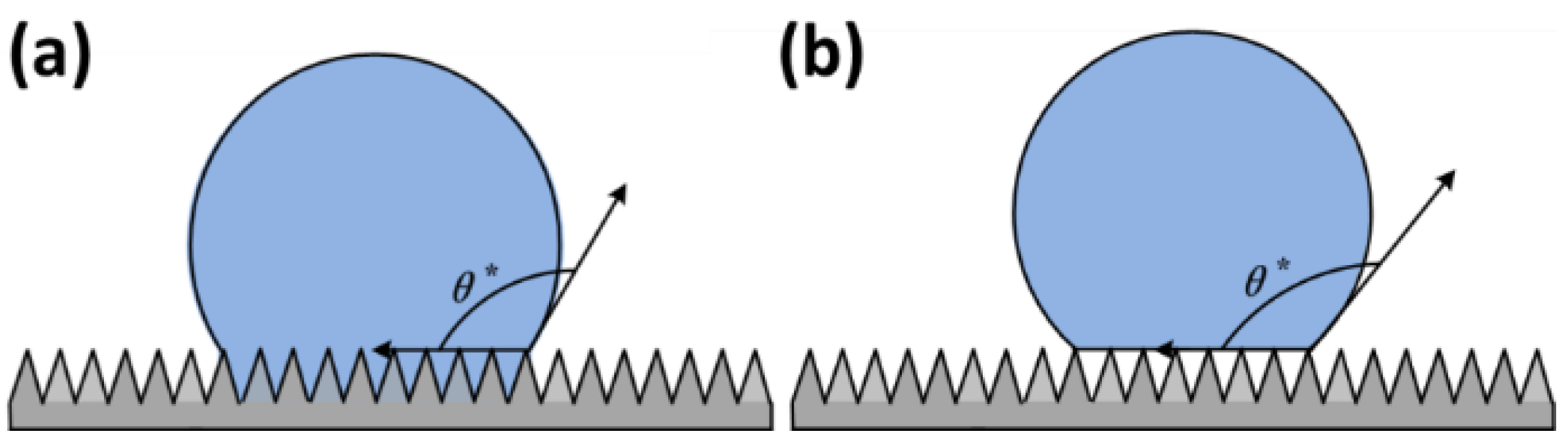 Coatings 08 00208 g006 550