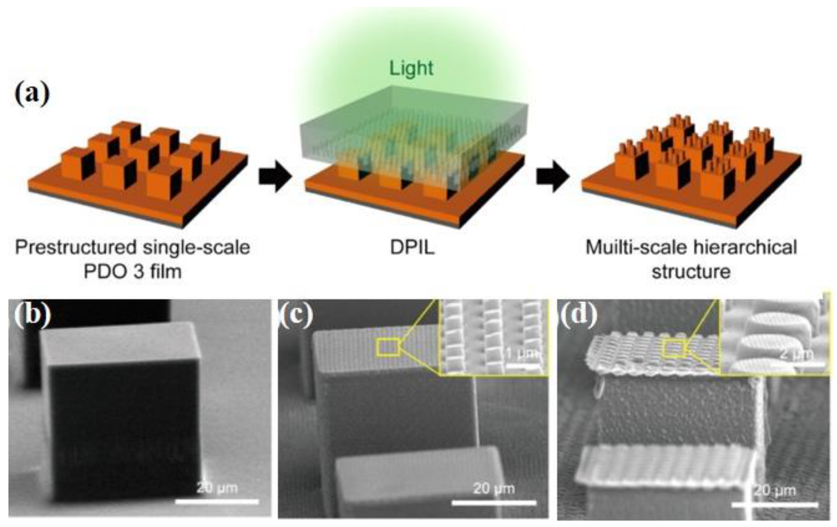 Coatings 08 00208 g008 550