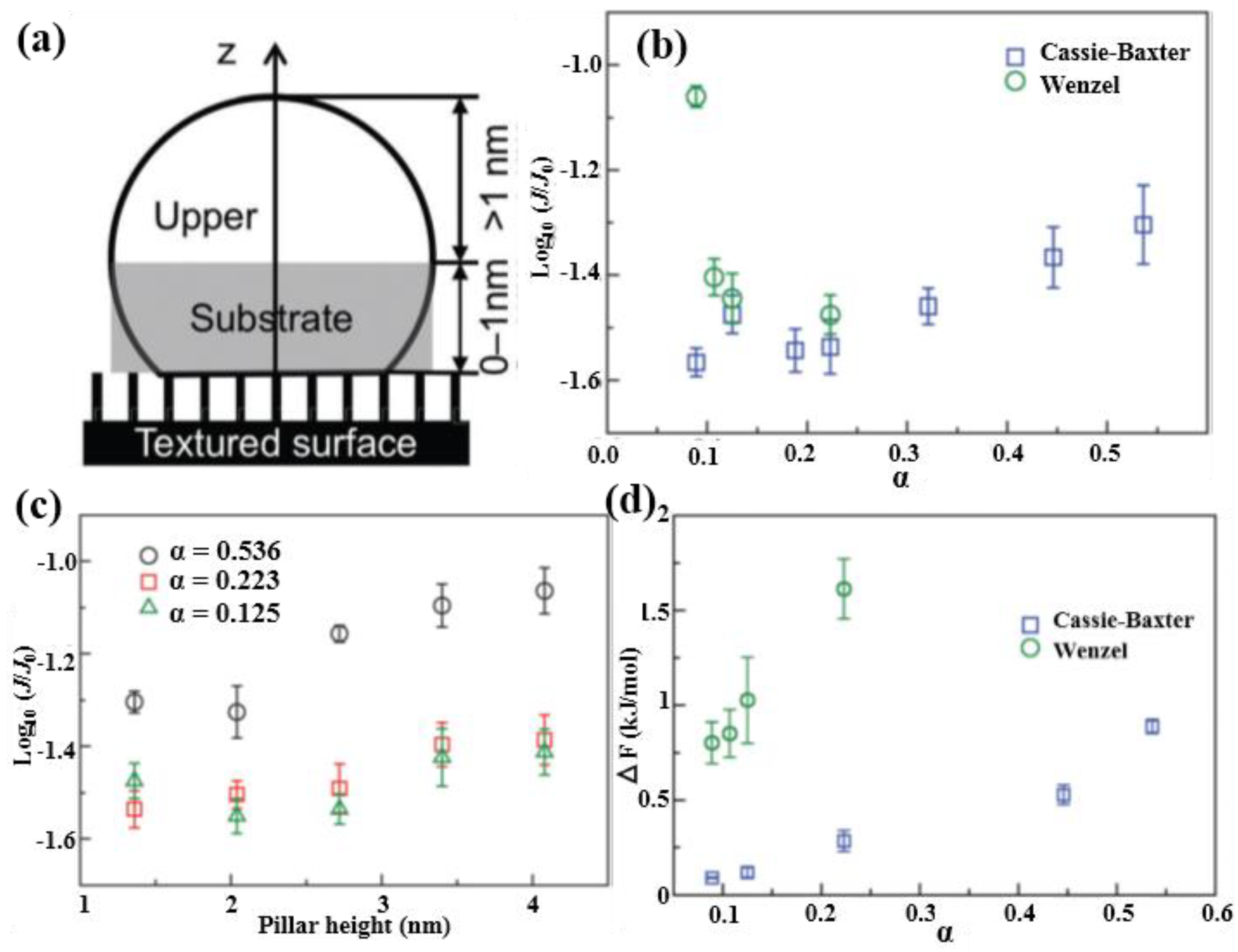 Coatings 08 00208 g016 550