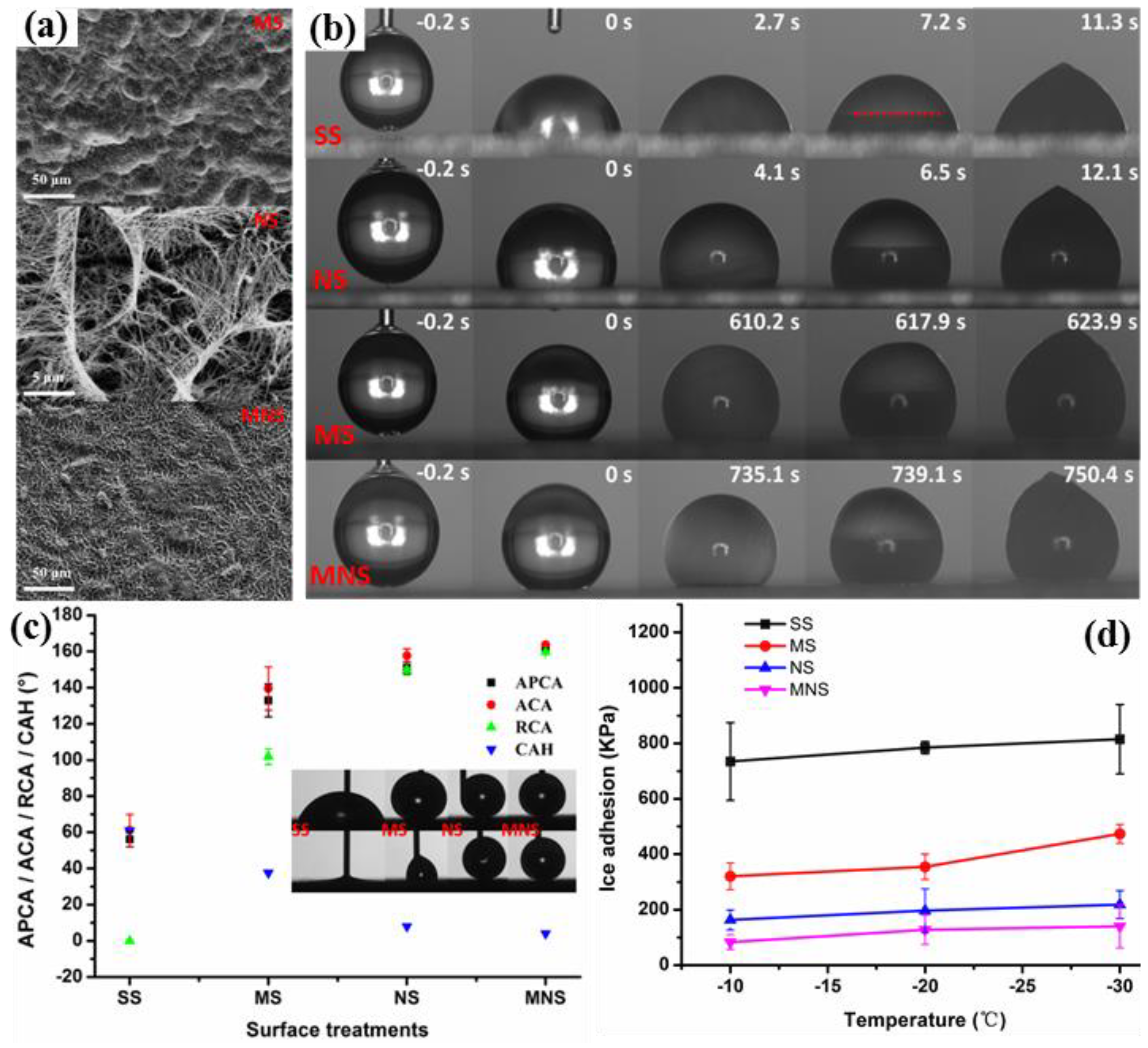 Coatings 08 00208 g017 550