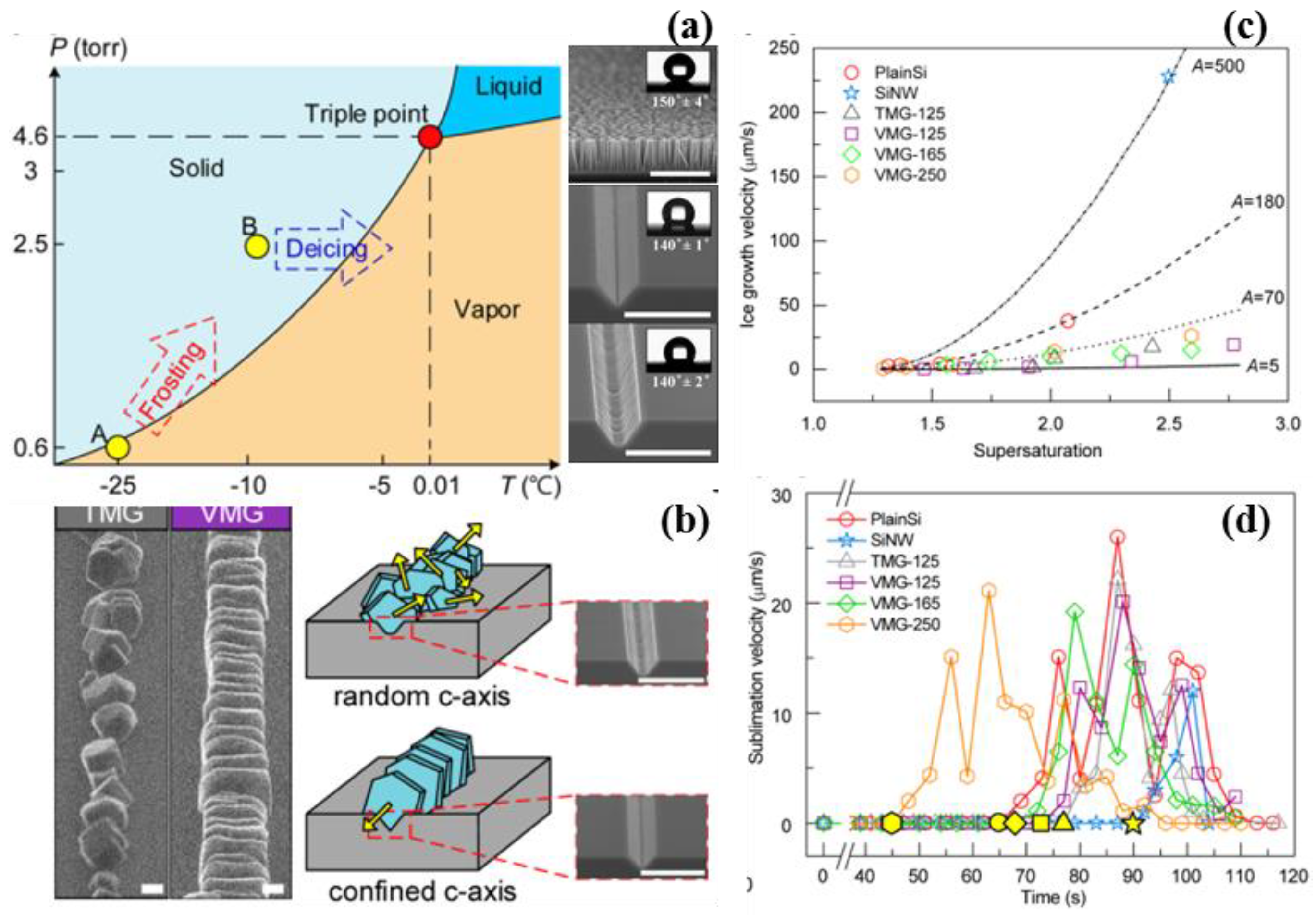 Coatings 08 00208 g019 550