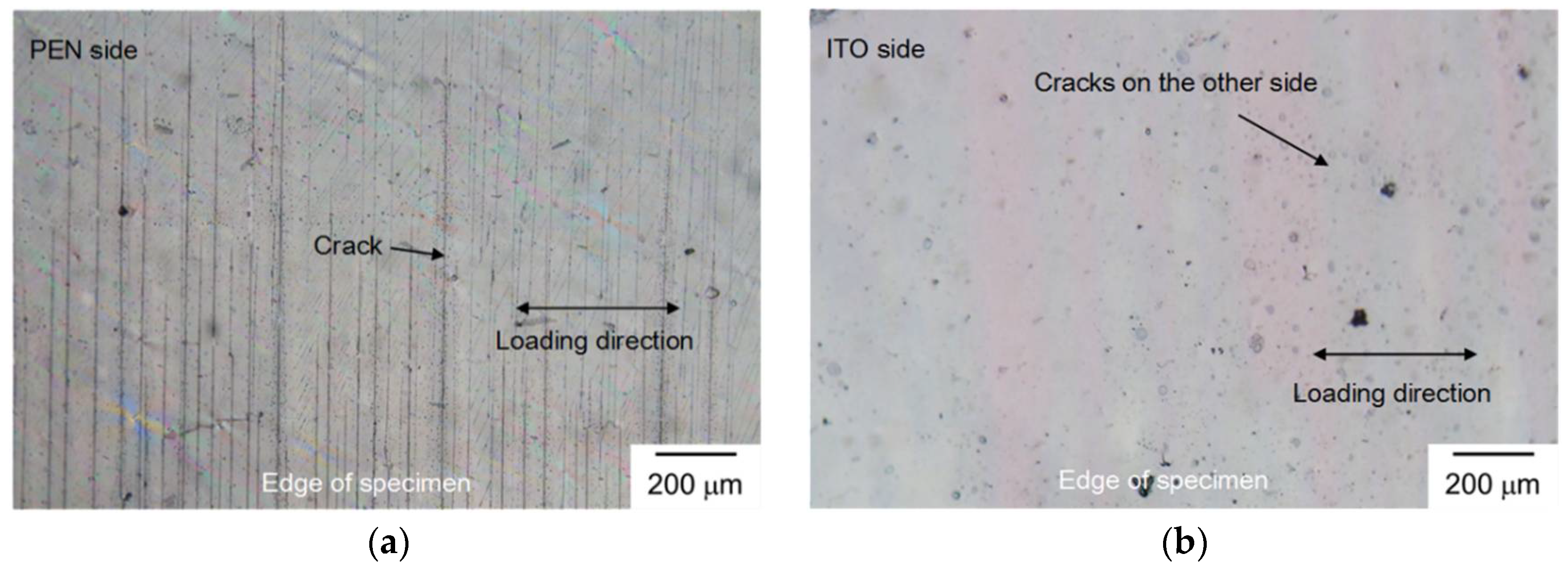 Coatings 08 00212 g005 Coatings 08 00212 g005