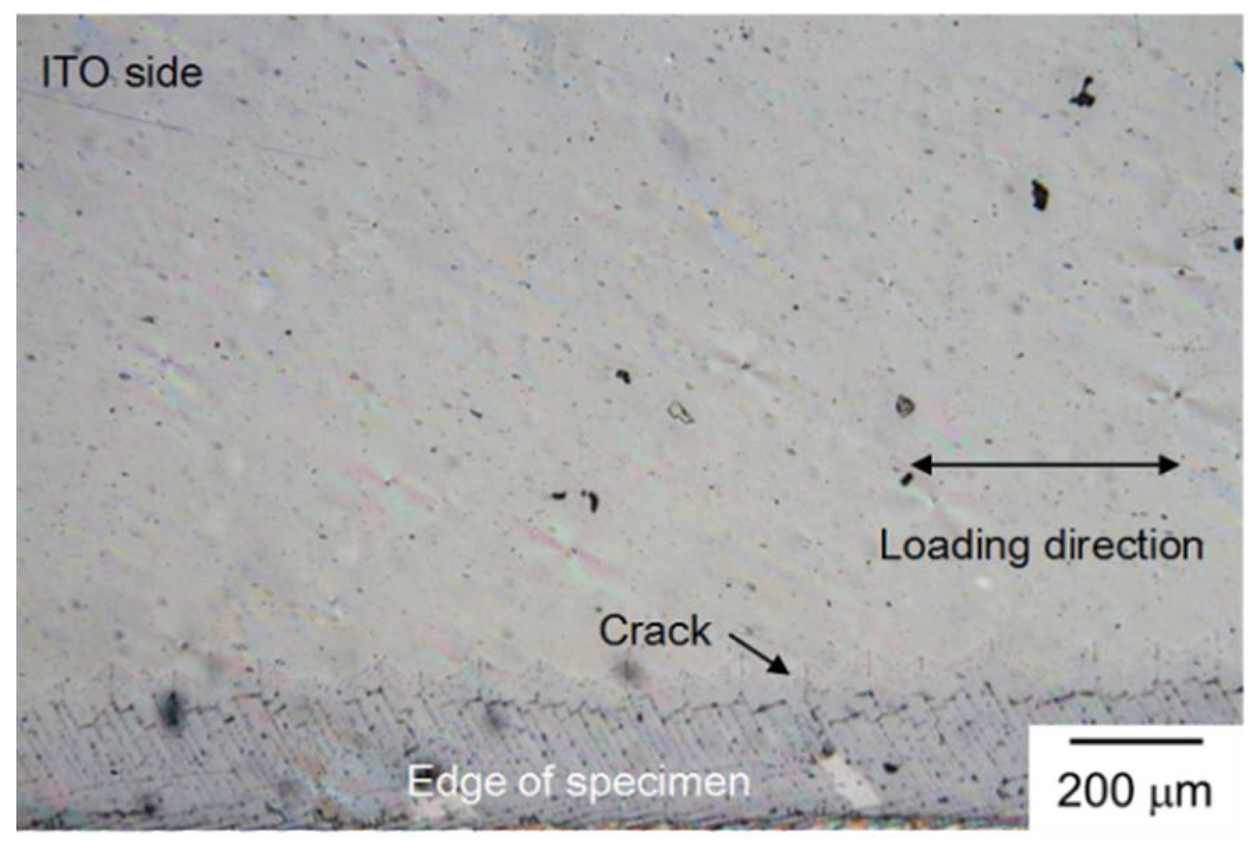 Coatings 08 00212 g007 Coatings 08 00212 g007