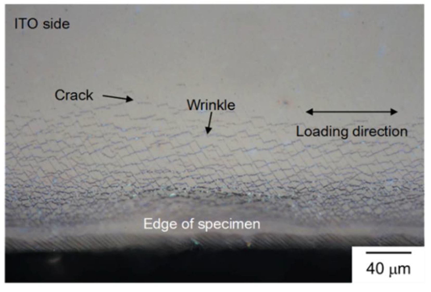 Coatings 08 00212 g009 Coatings 08 00212 g009