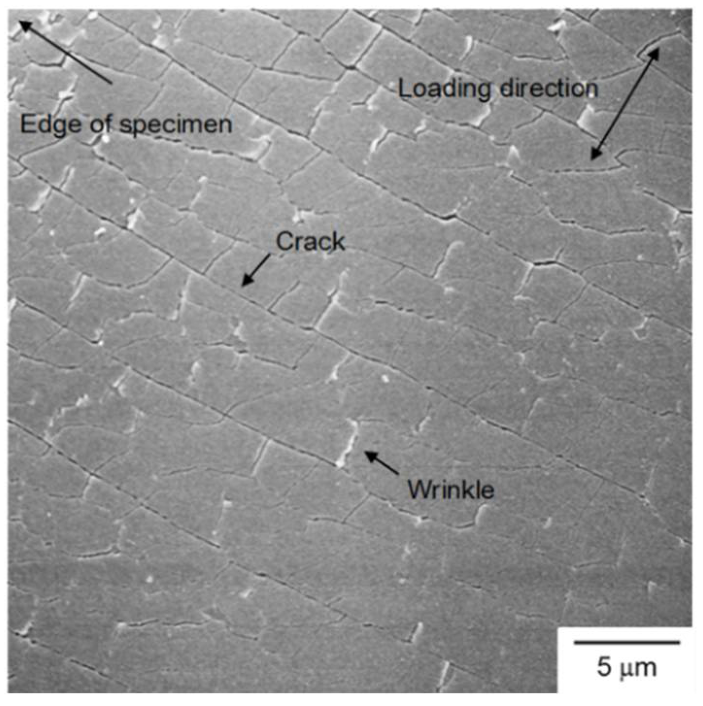 Coatings 08 00212 g010 Coatings 08 00212 g010