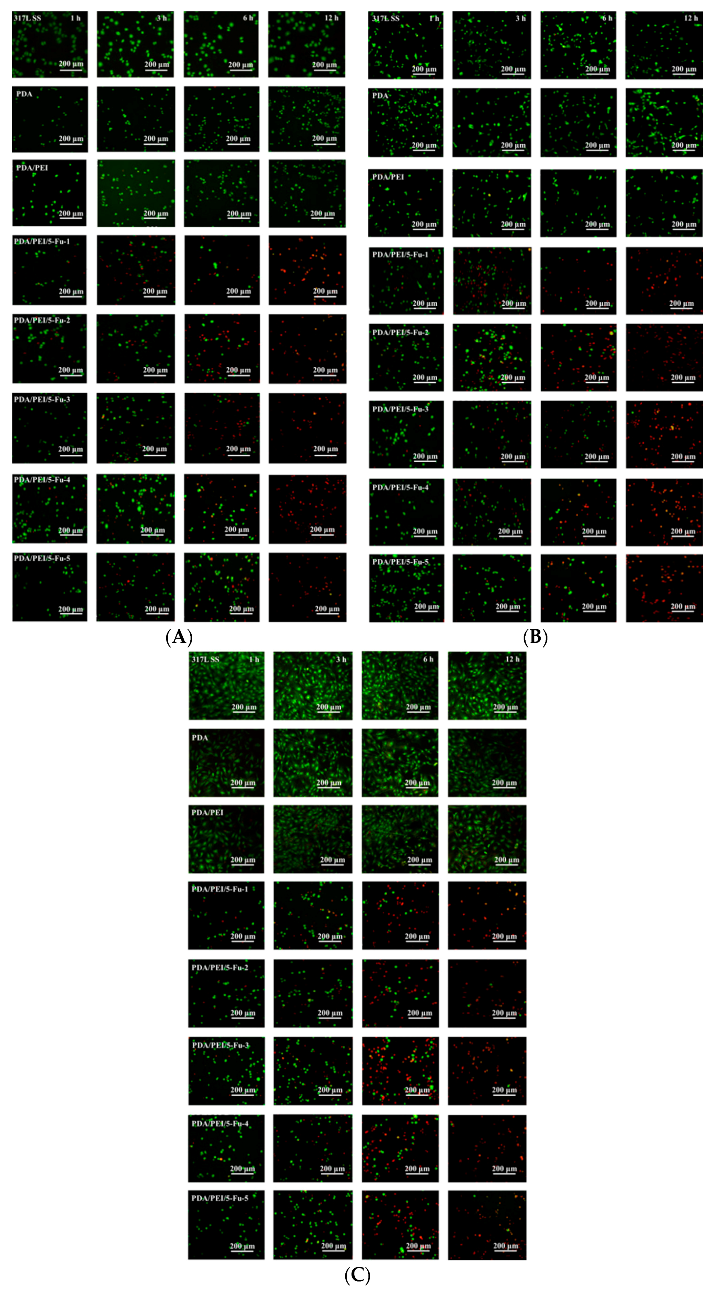 Coatings 08 00215 g006