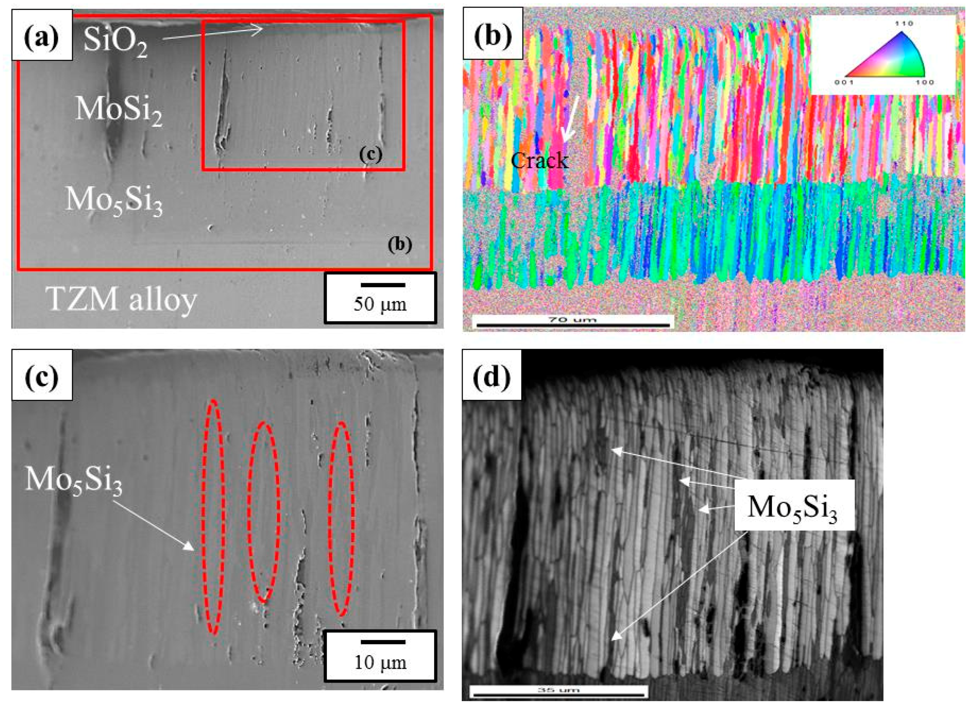 Coatings 08 00218 g006