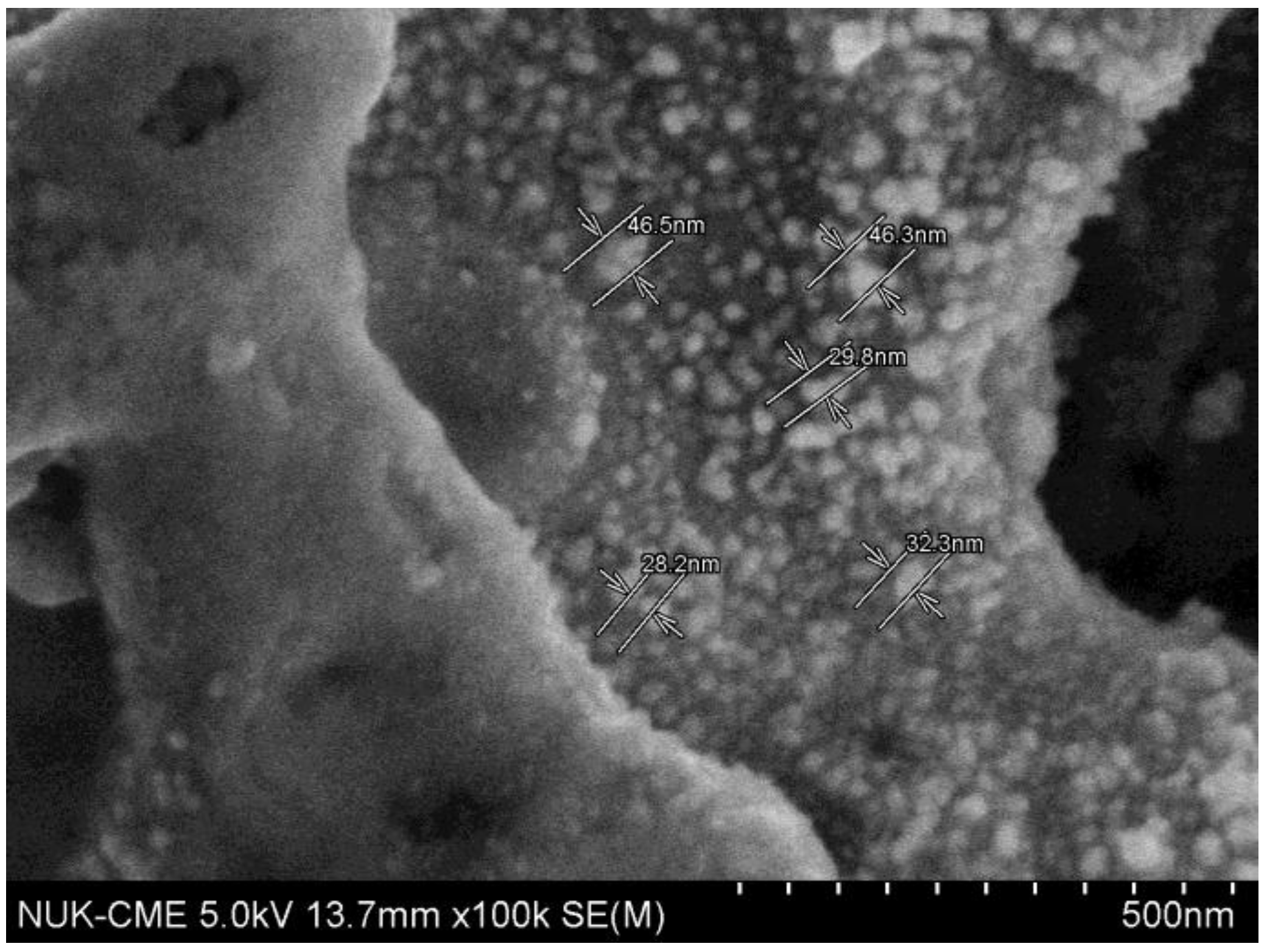 Coatings 08 00222 g002