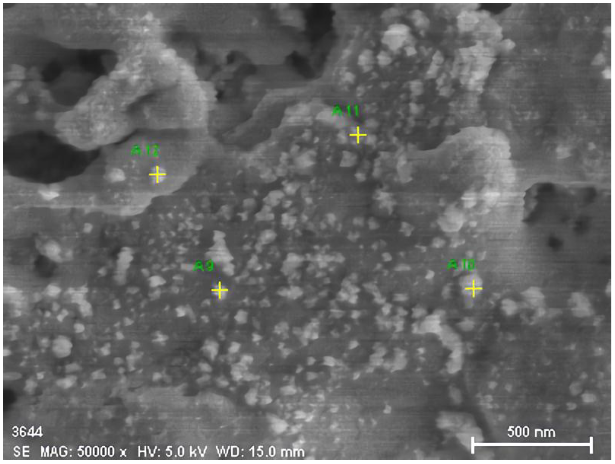 Coatings 08 00222 g003