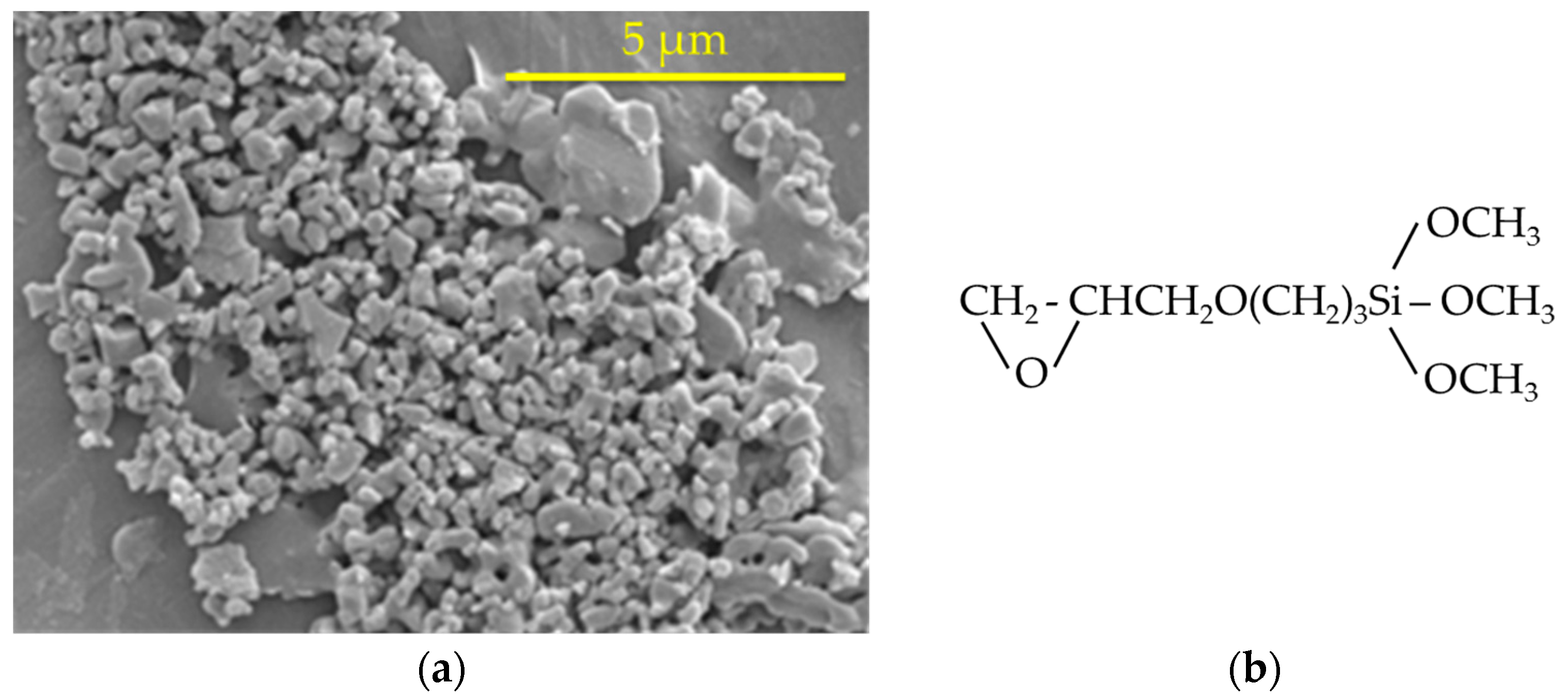 Coatings 08 00224 g001