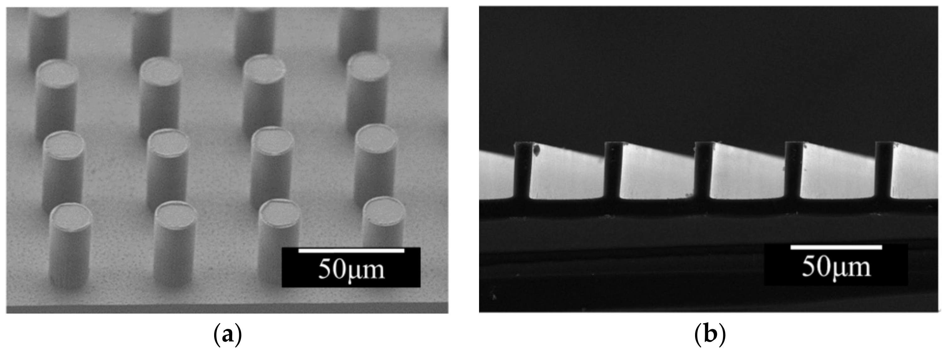 Coatings 08 00227 g003 Coatings 08 00227 g003