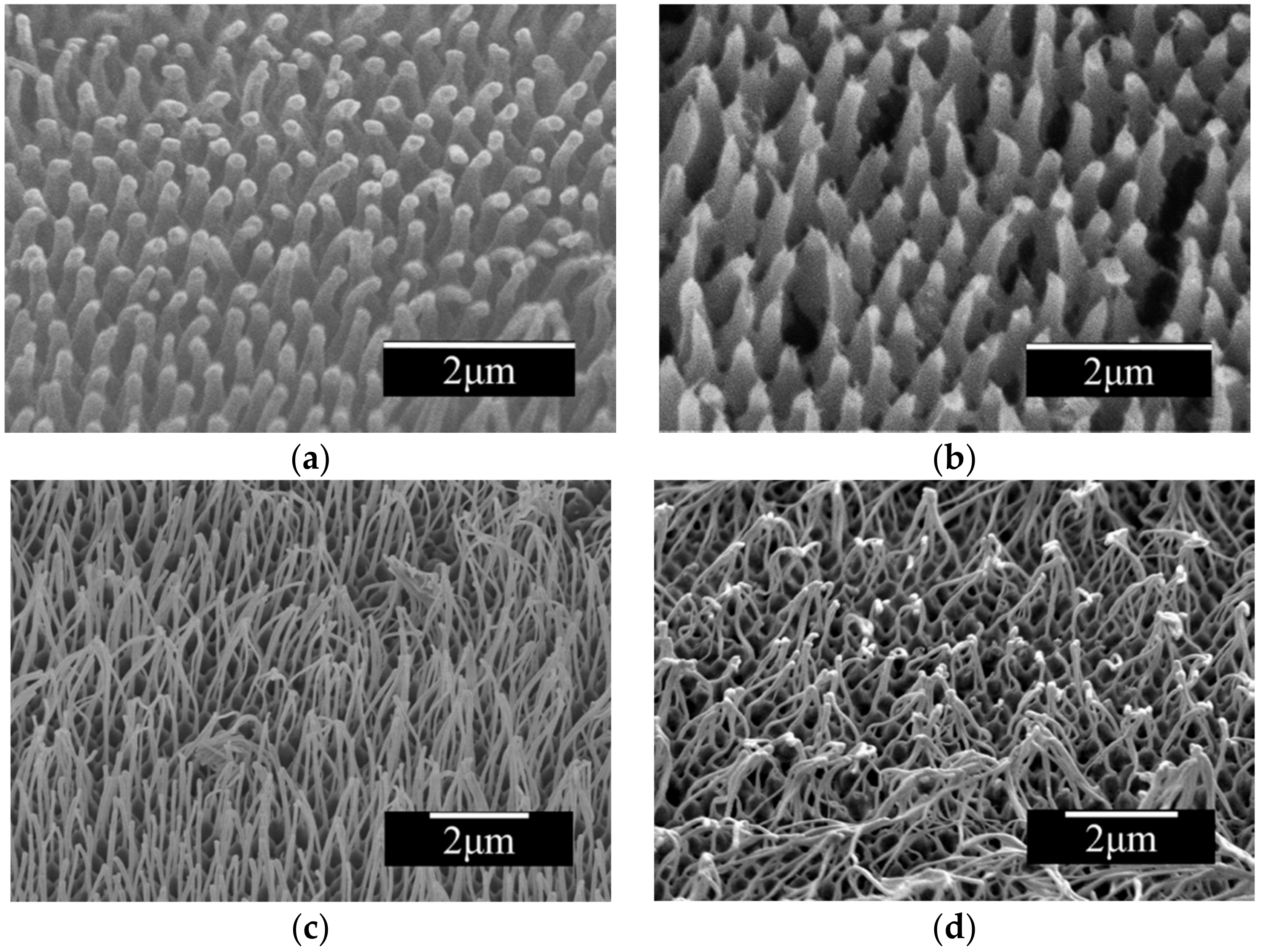 Coatings 08 00227 g005 Coatings 08 00227 g005
