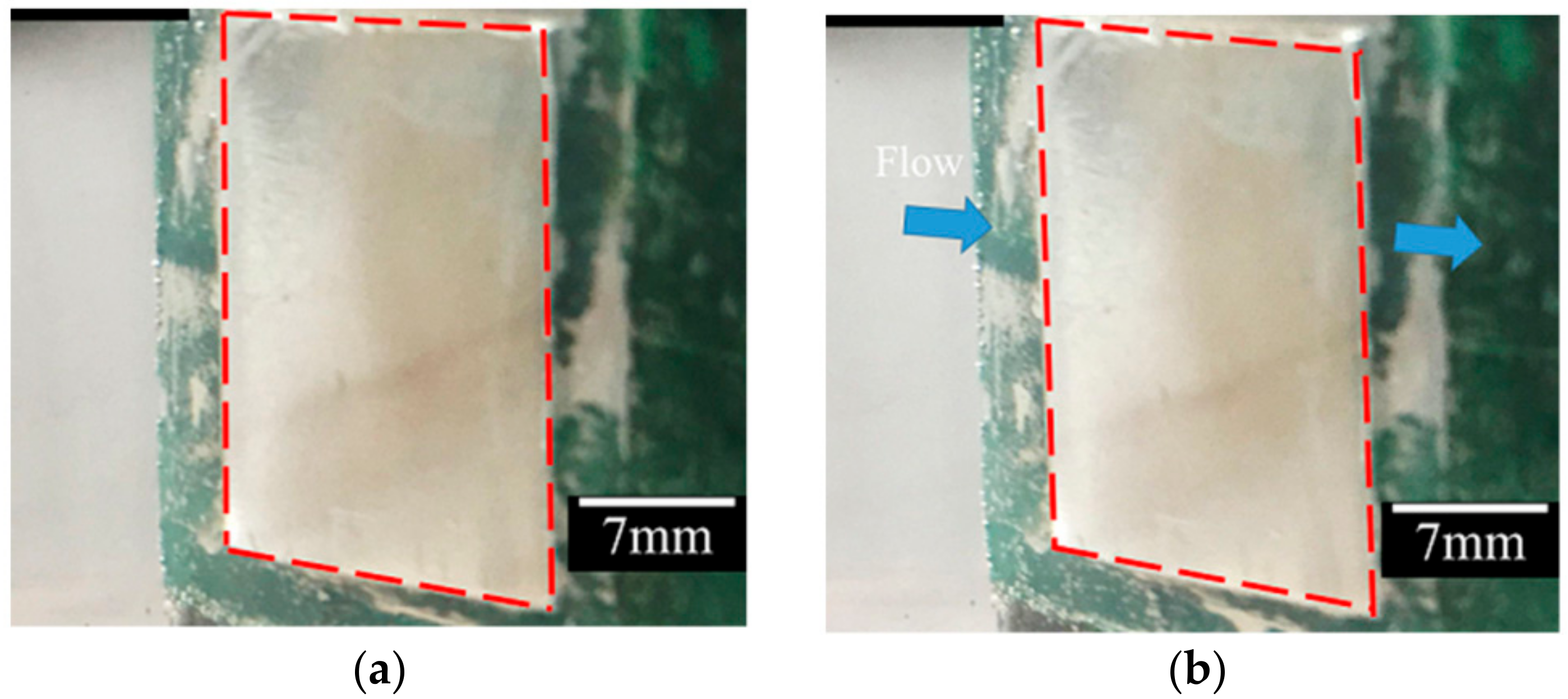 Coatings 08 00227 g008 Coatings 08 00227 g008