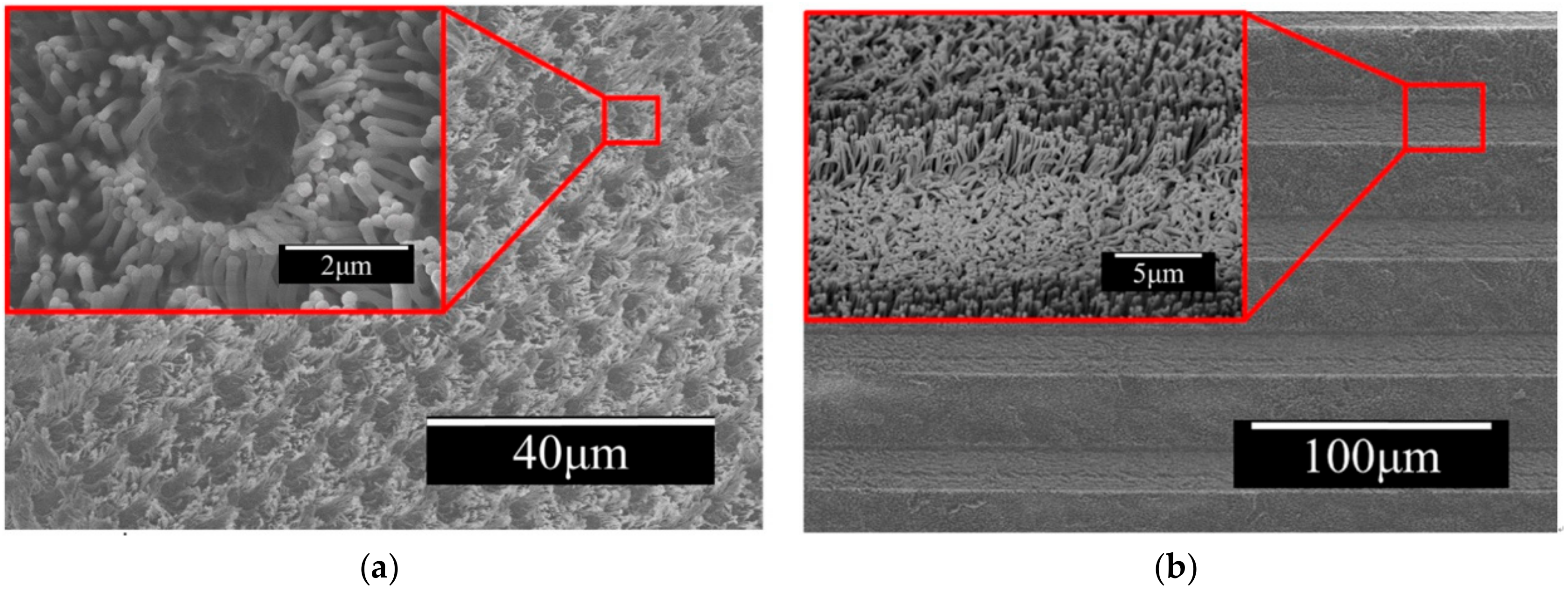Coatings 08 00227 g009 Coatings 08 00227 g009