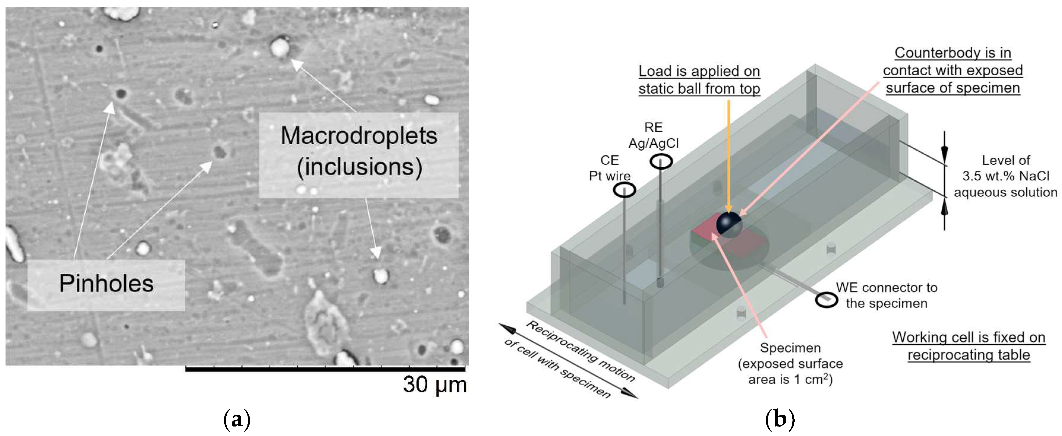 Coatings 08 00229 g002