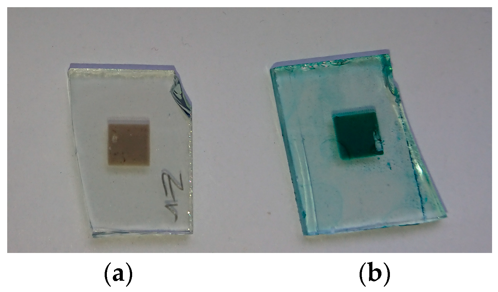 Coatings 08 00232 g005