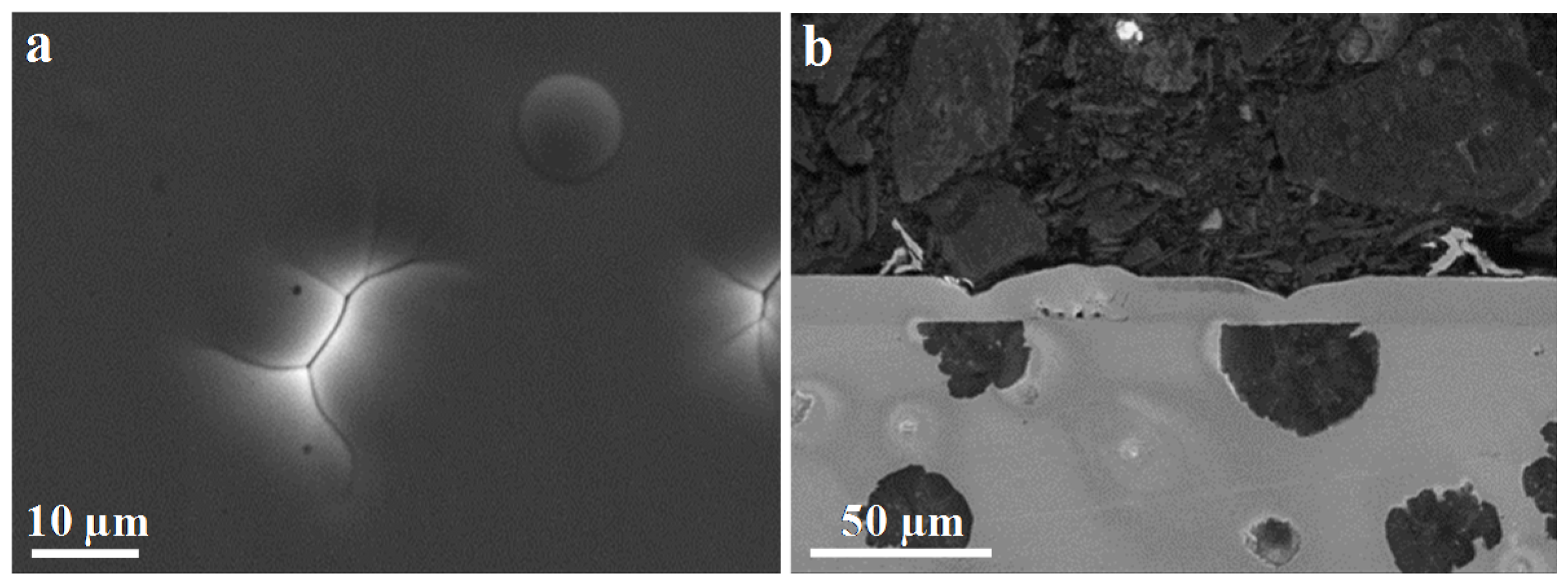 Coatings 08 00239 g007