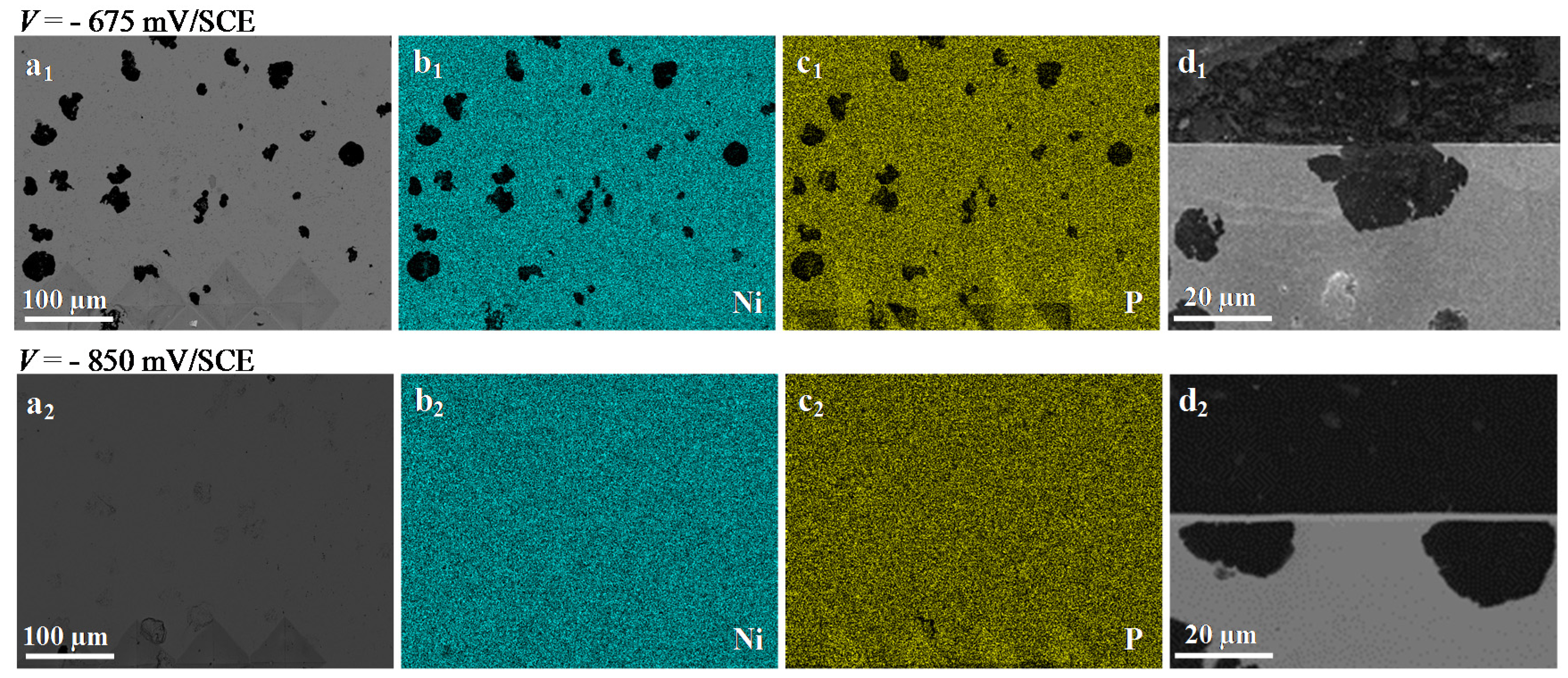 Coatings 08 00239 g010
