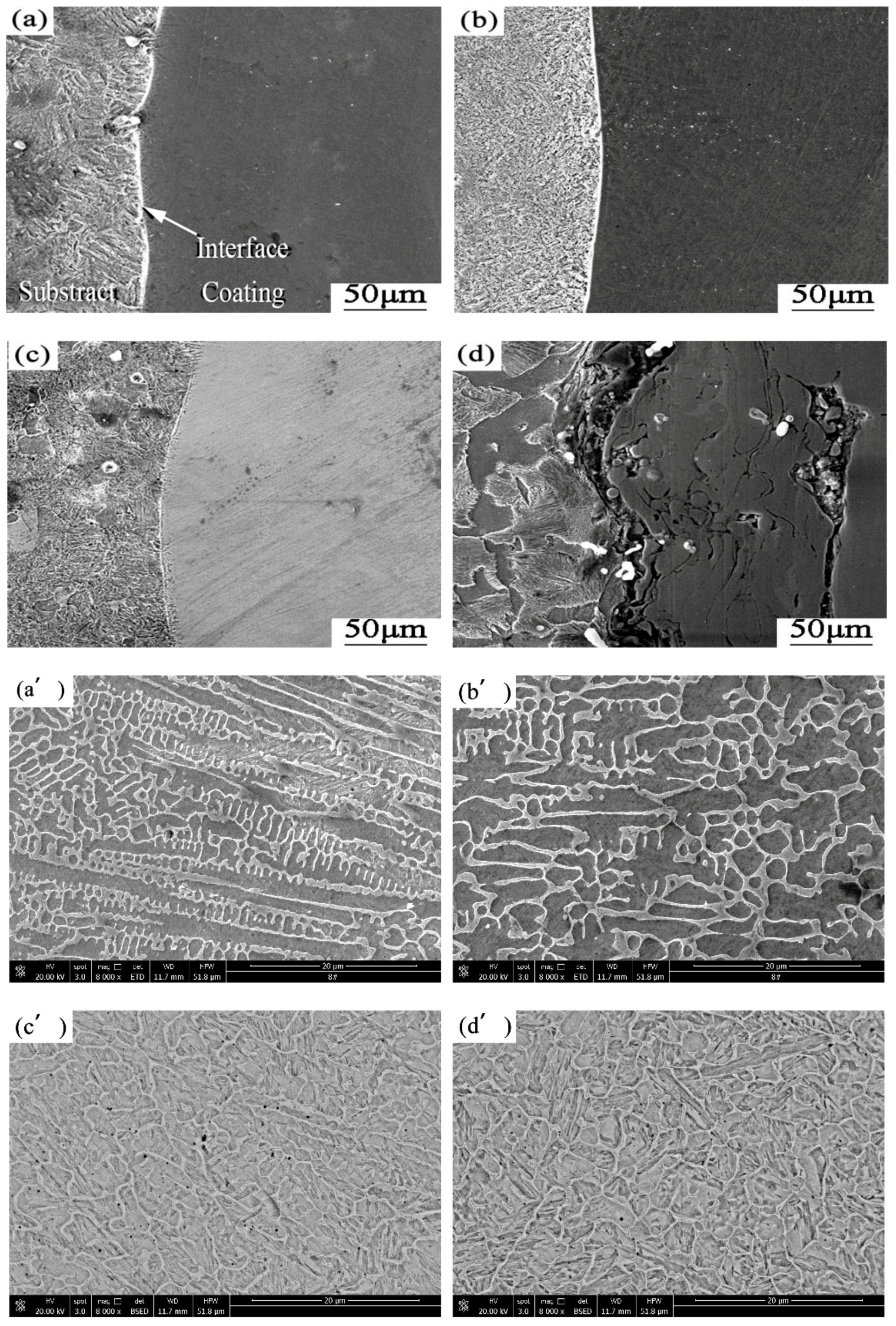 Coatings 08 00241 g004