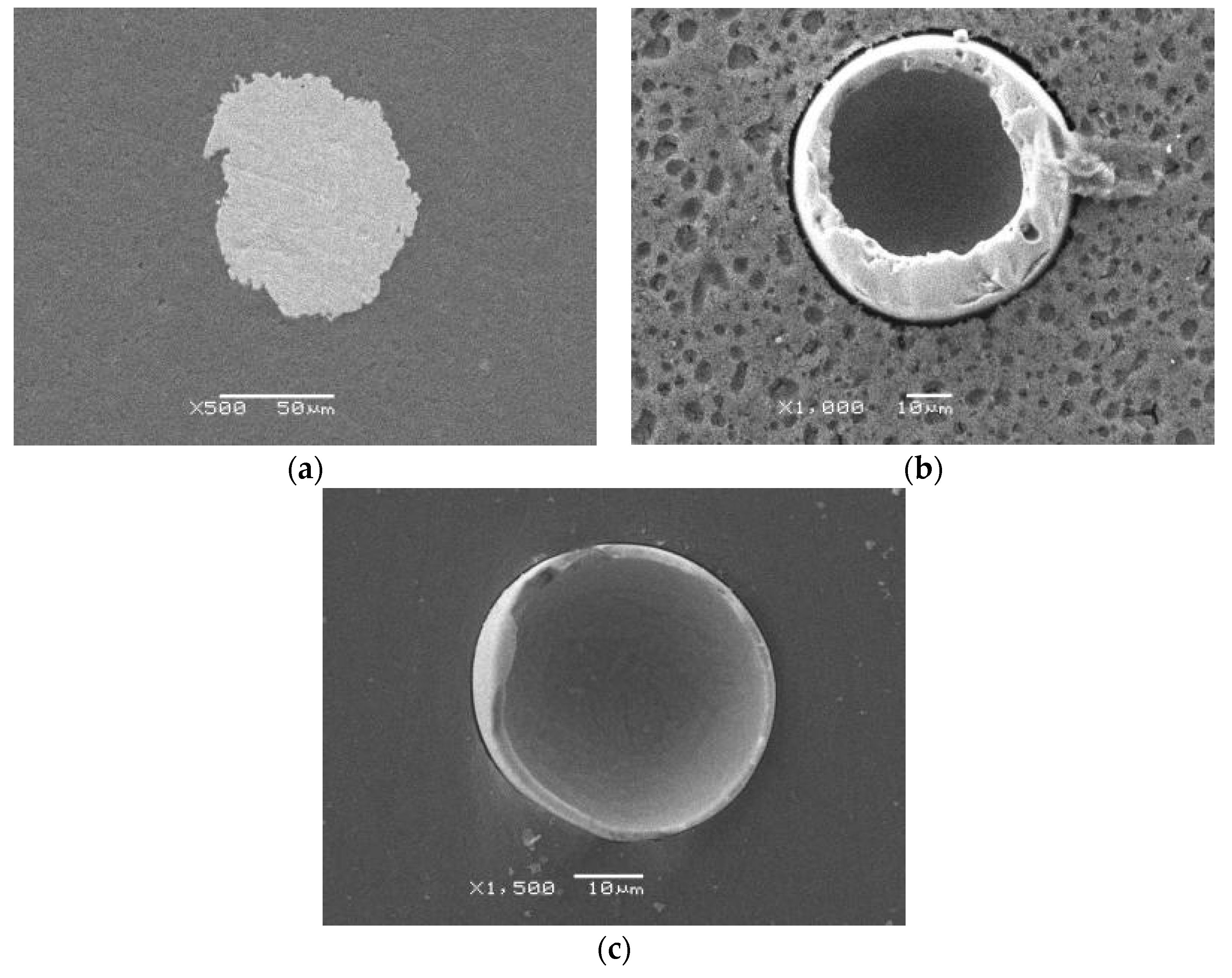 Coatings 08 00245 g003