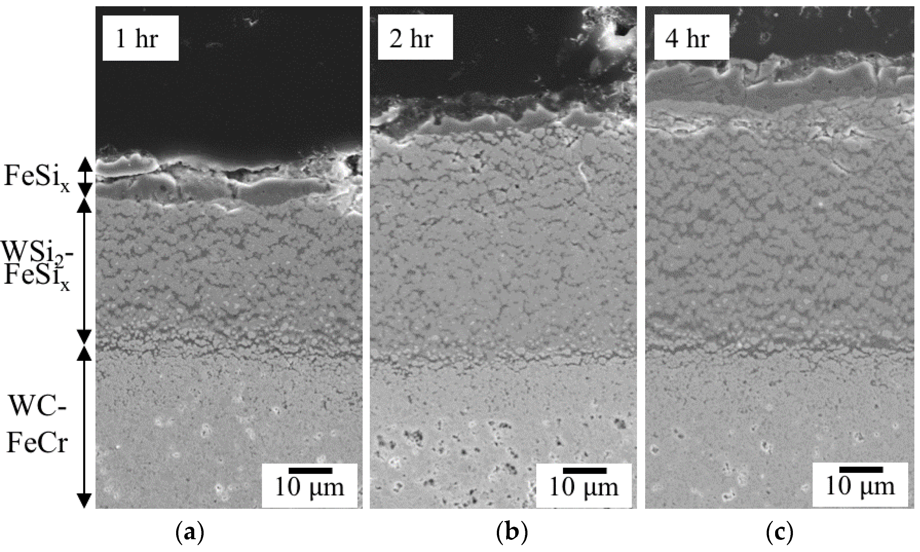 Coatings 08 00247 g003 Coatings 08 00247 g003