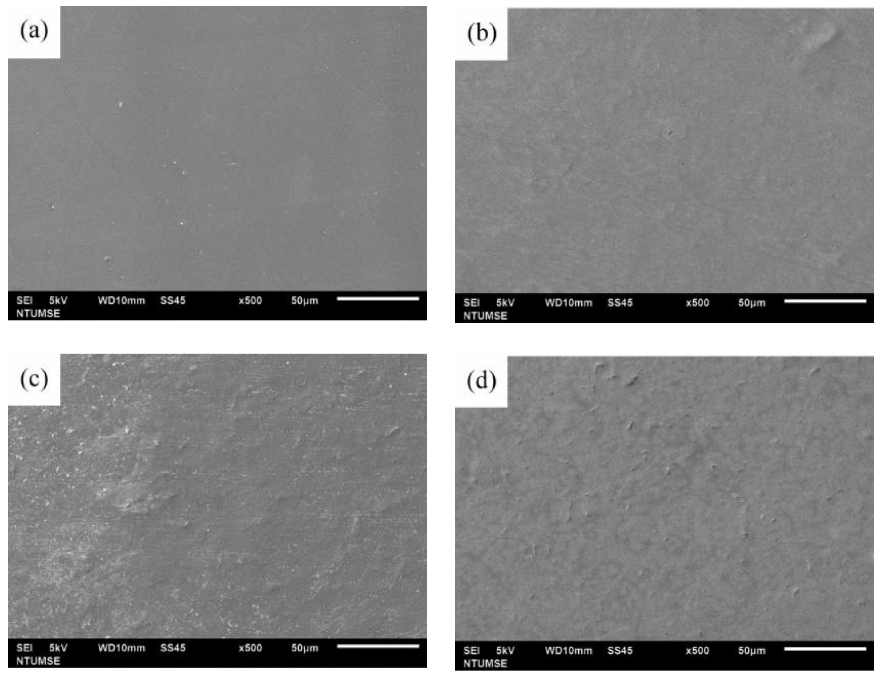 Coatings 08 00250 g001