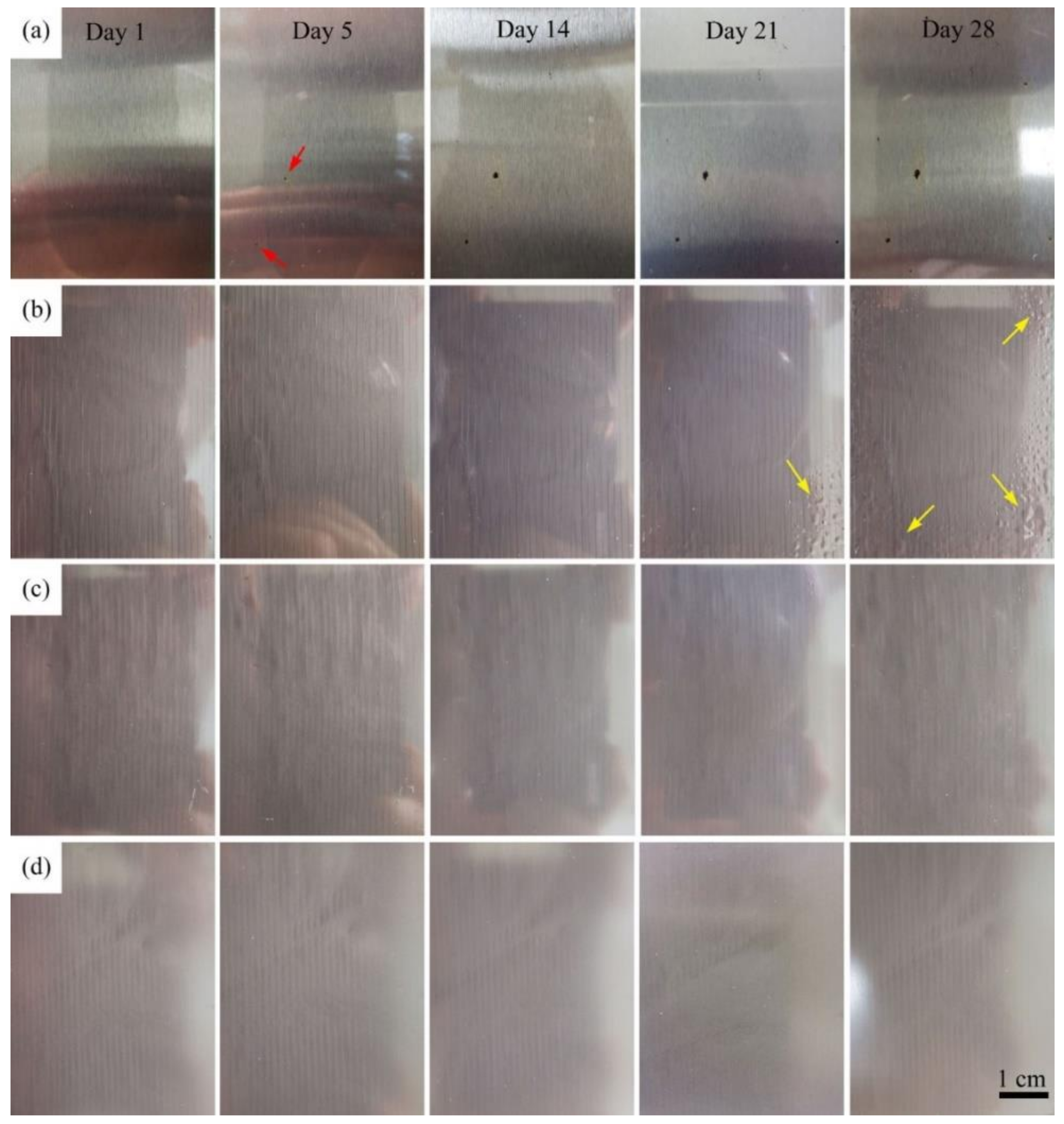 Coatings 08 00250 g007