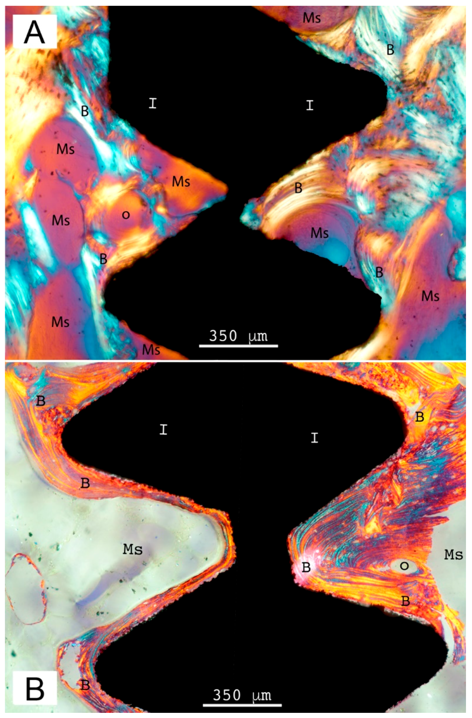 Coatings 08 00252 g008 Coatings 08 00252 g008
