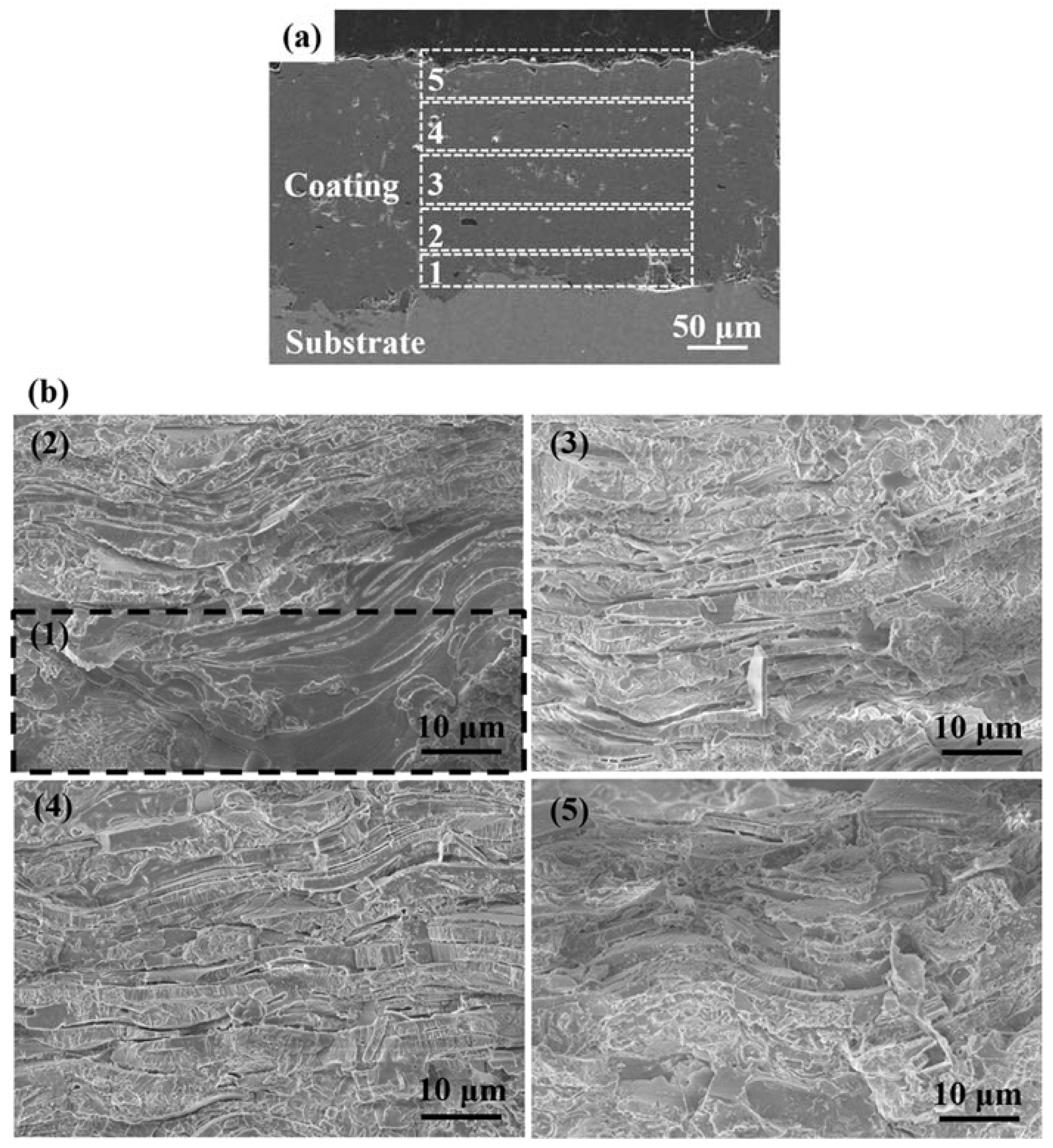 Coatings 08 00258 g002