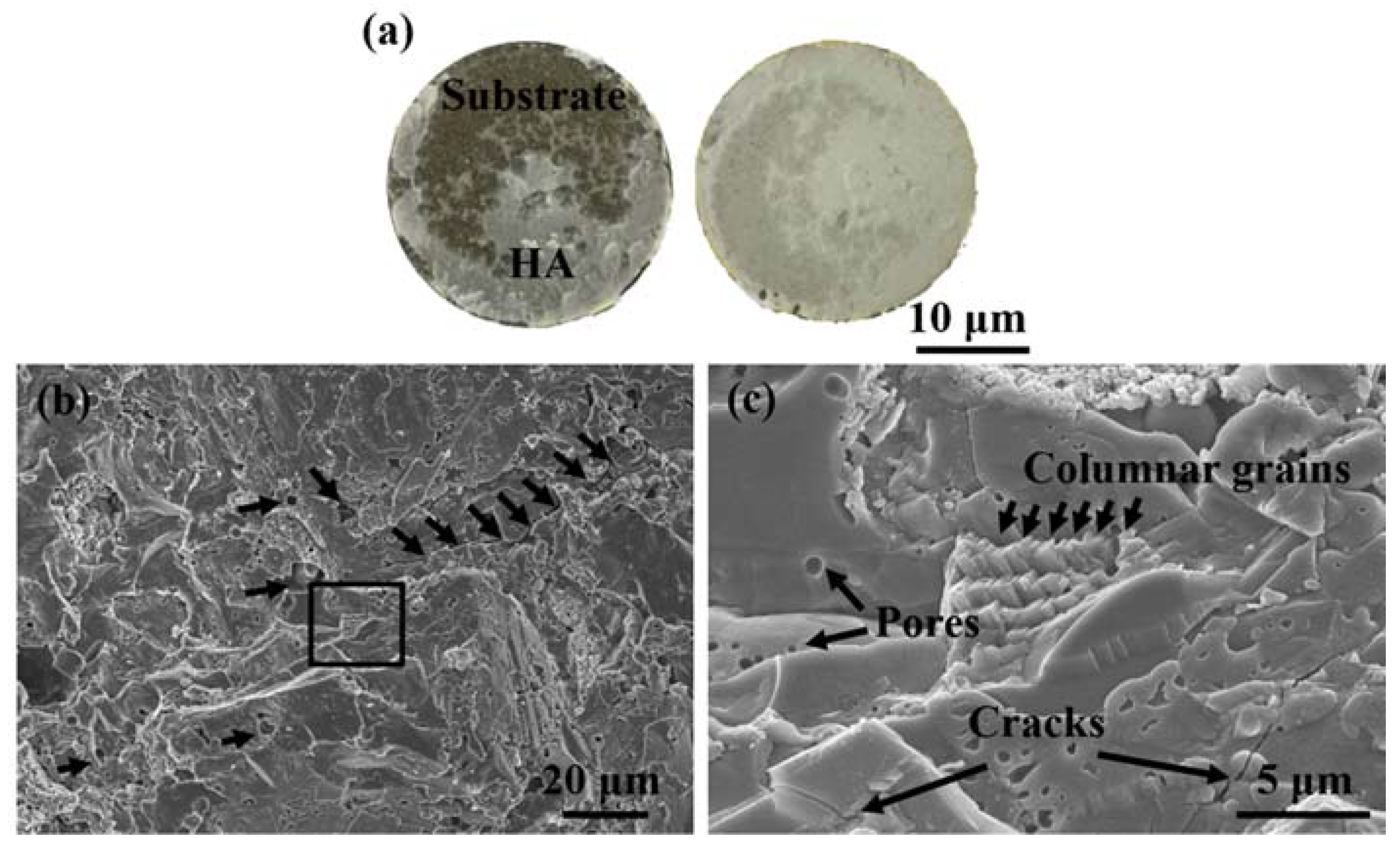Coatings 08 00258 g003