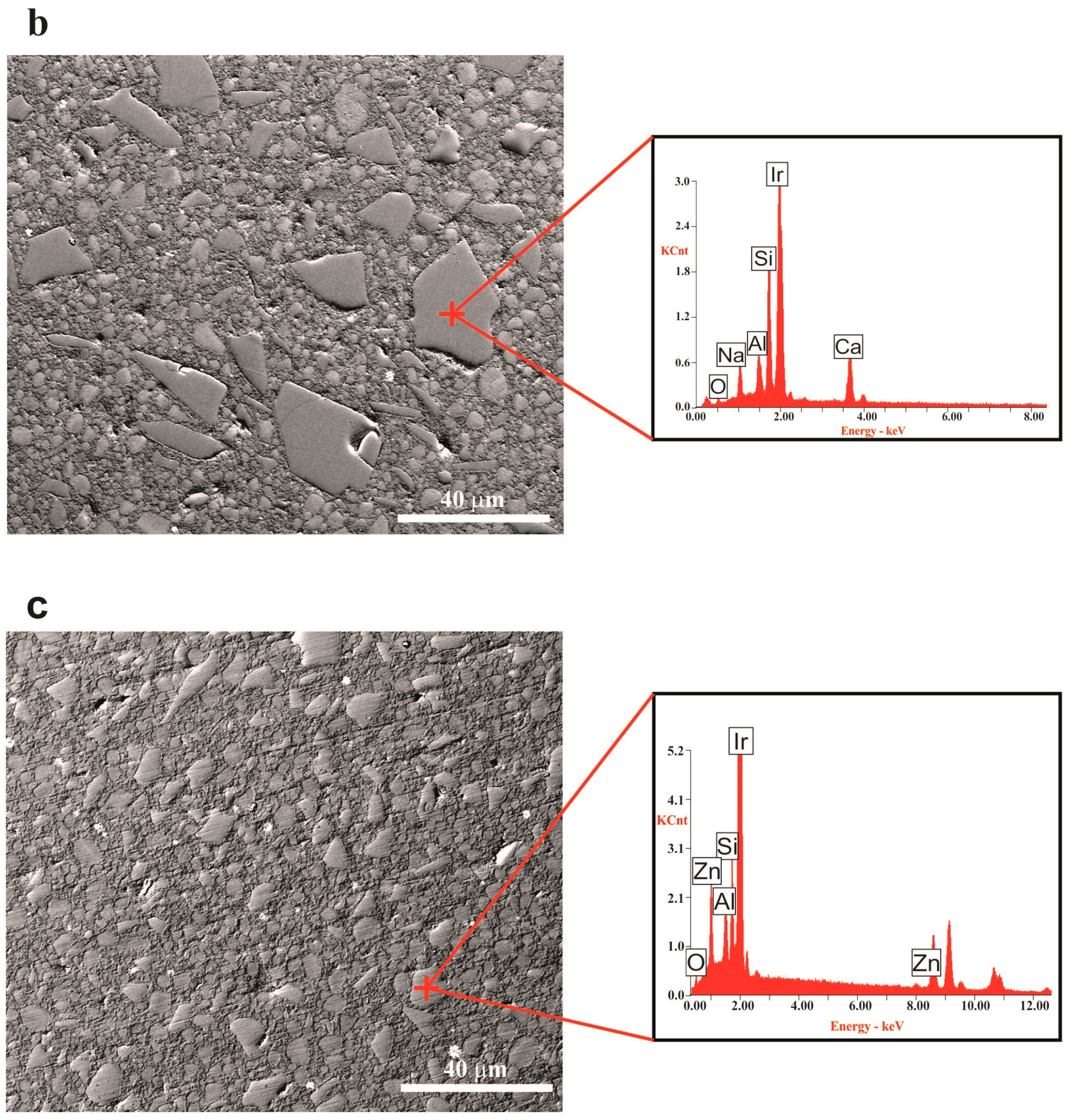 Coatings 08 00259 g003b